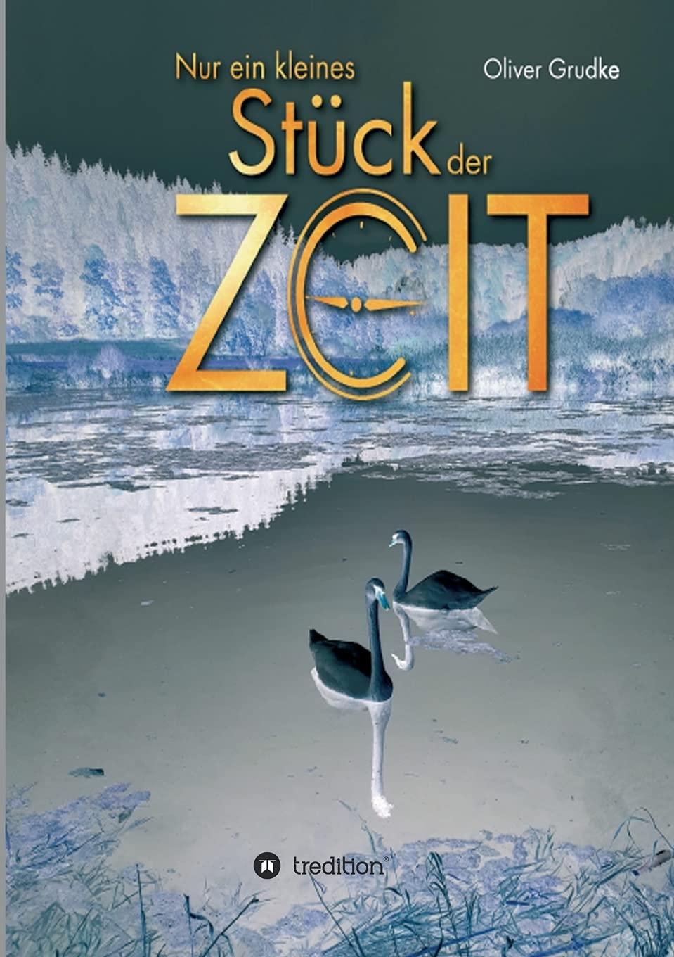 Nur ein kleines Stück der Zeit Contemporary literature