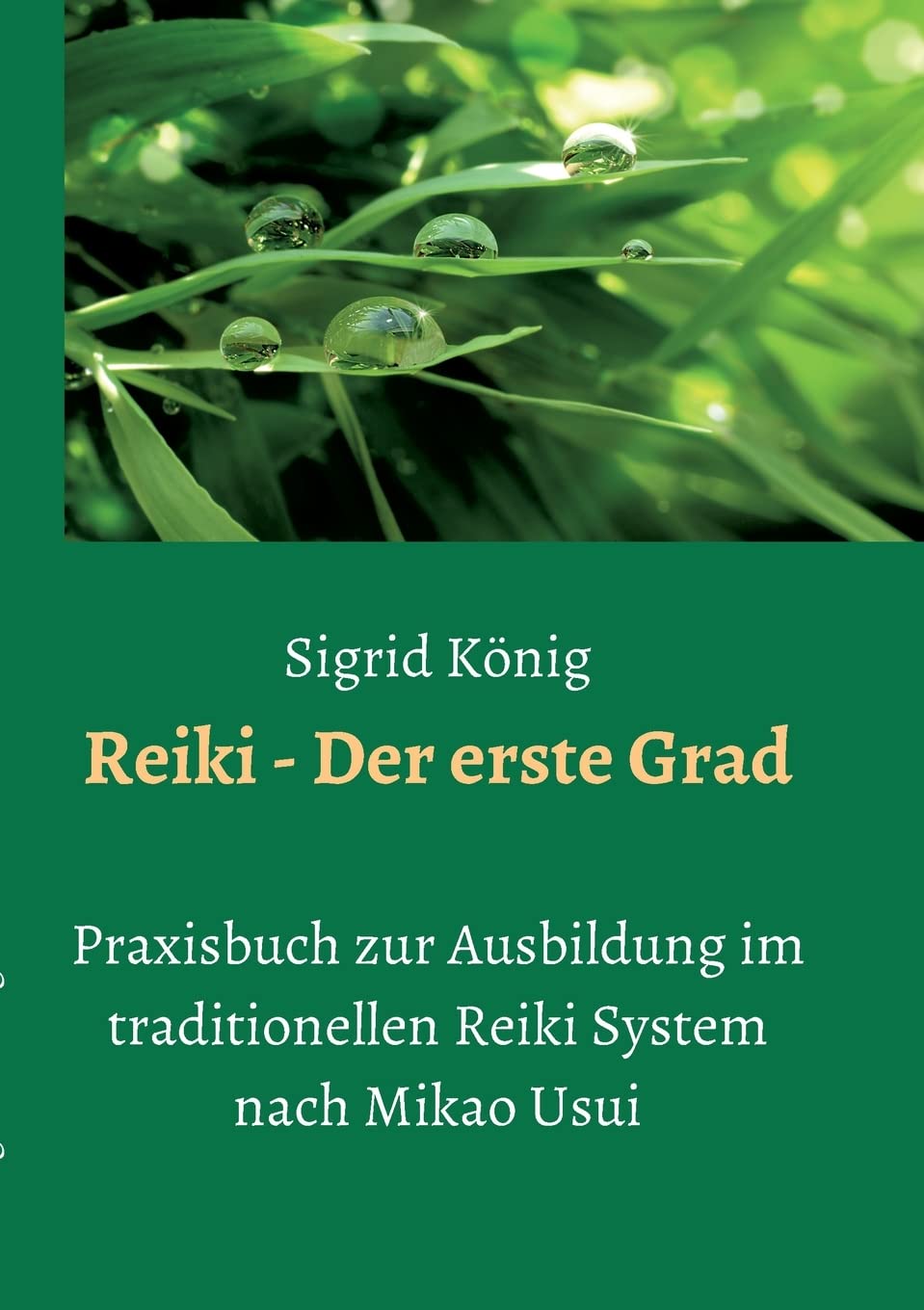 Reiki - Der erste Grad: Praxisbuch zur Ausbildung im traditionellen Reiki System nach Mikao Usui Philosophy