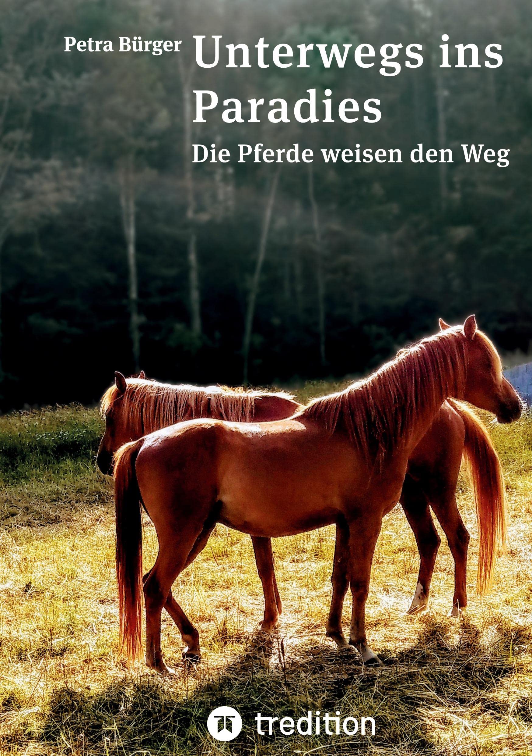 Unterwegs ins Paradies: Die Pferde weisen den Weg Contemporary literature