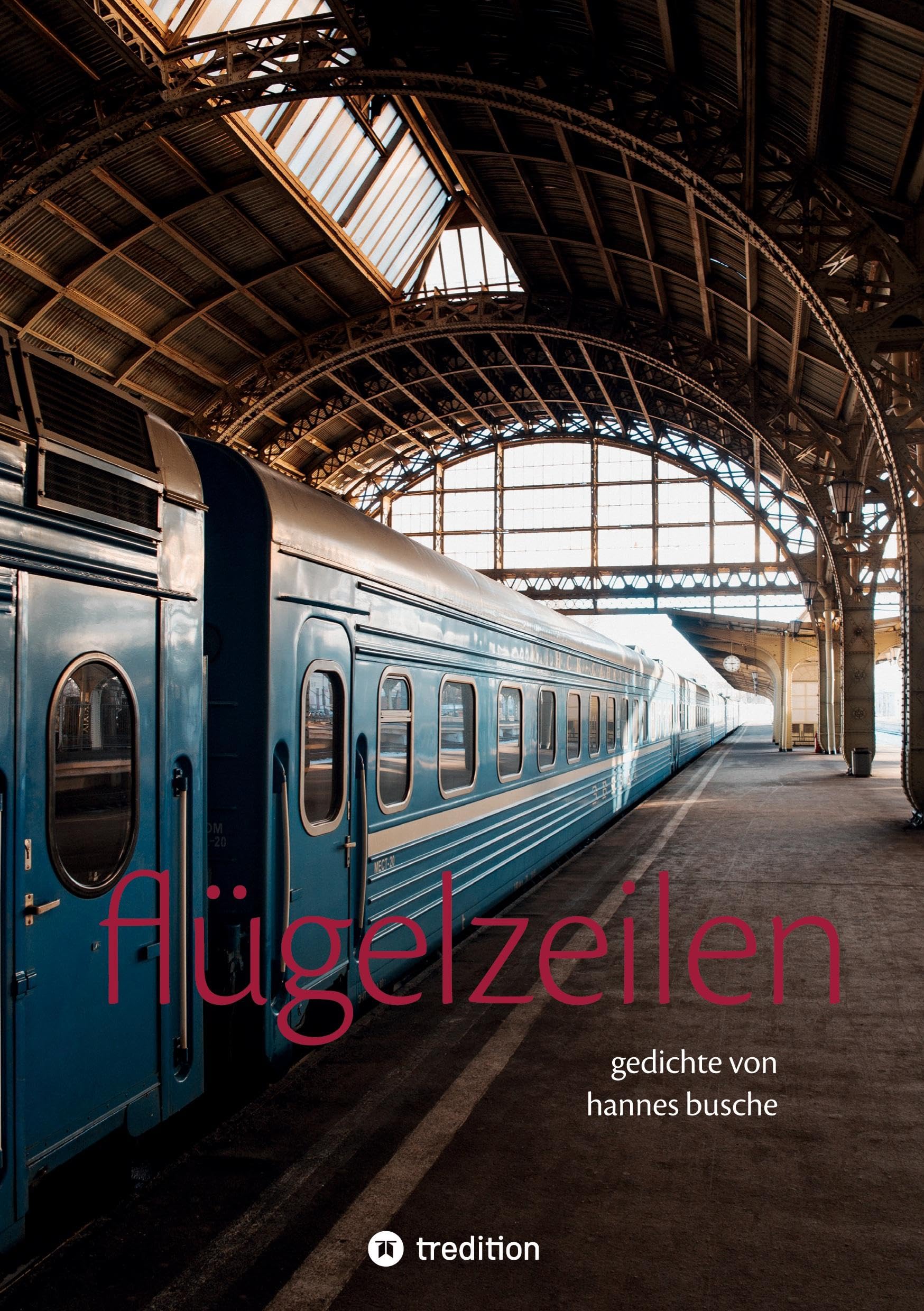 Flügelzeilen: Gedichte von Hannes Busche Contemporary literature