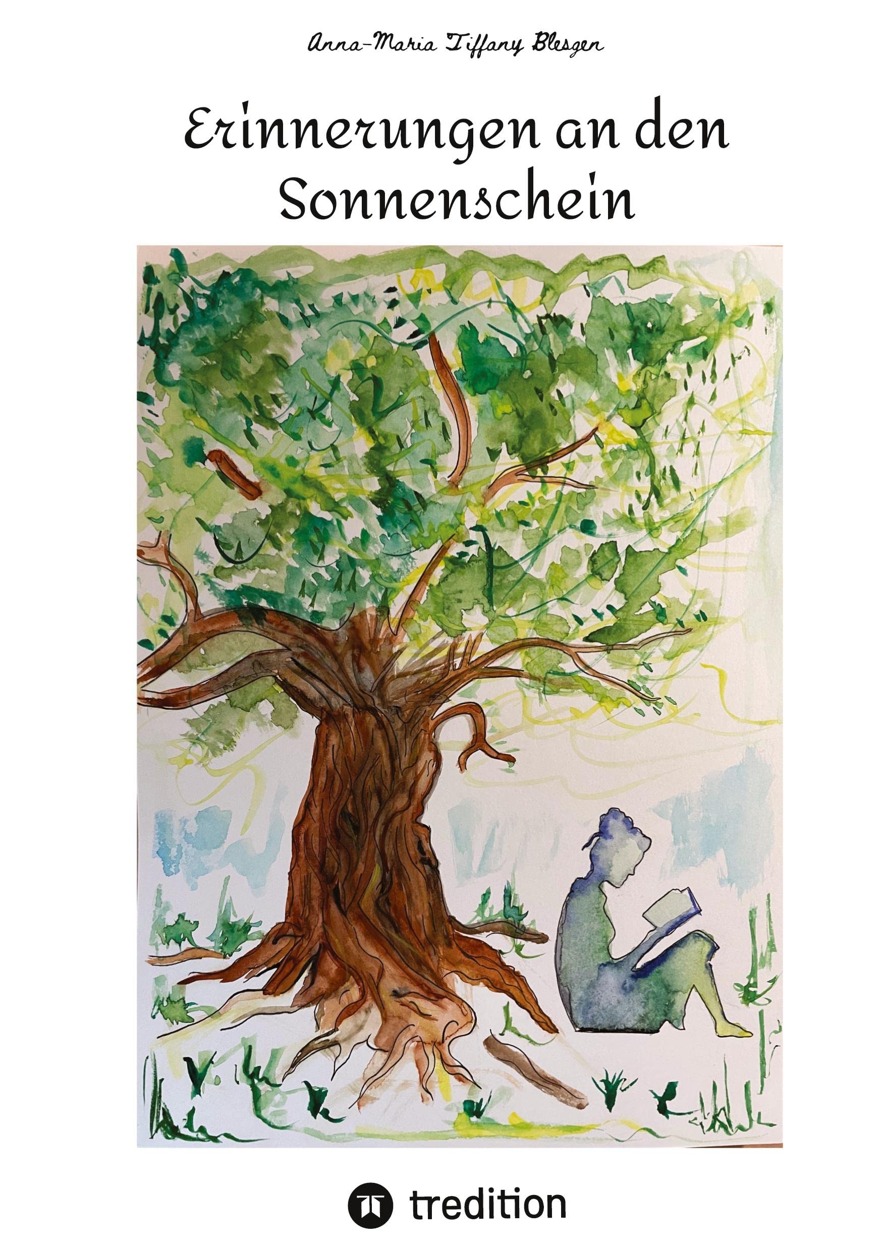 Erinnerungen an den Sonnenschein book