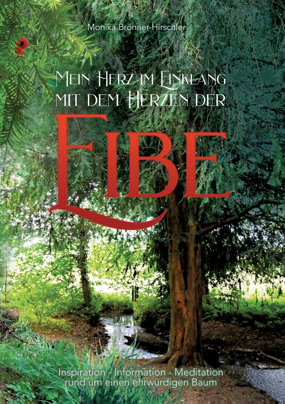 Mein Herz im Einklang mit dem Herzen der Eibe: Inspiration - Information - Meditation rund um einen ehrwürdigen Baum Health, Nutrition & Fitness