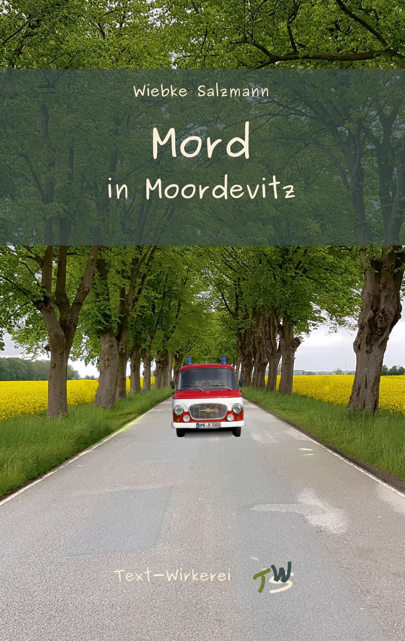 Mord in Moordevitz: Ein Regio-Krimi aus Mecklenburg-Vorpommern Contemporary literature