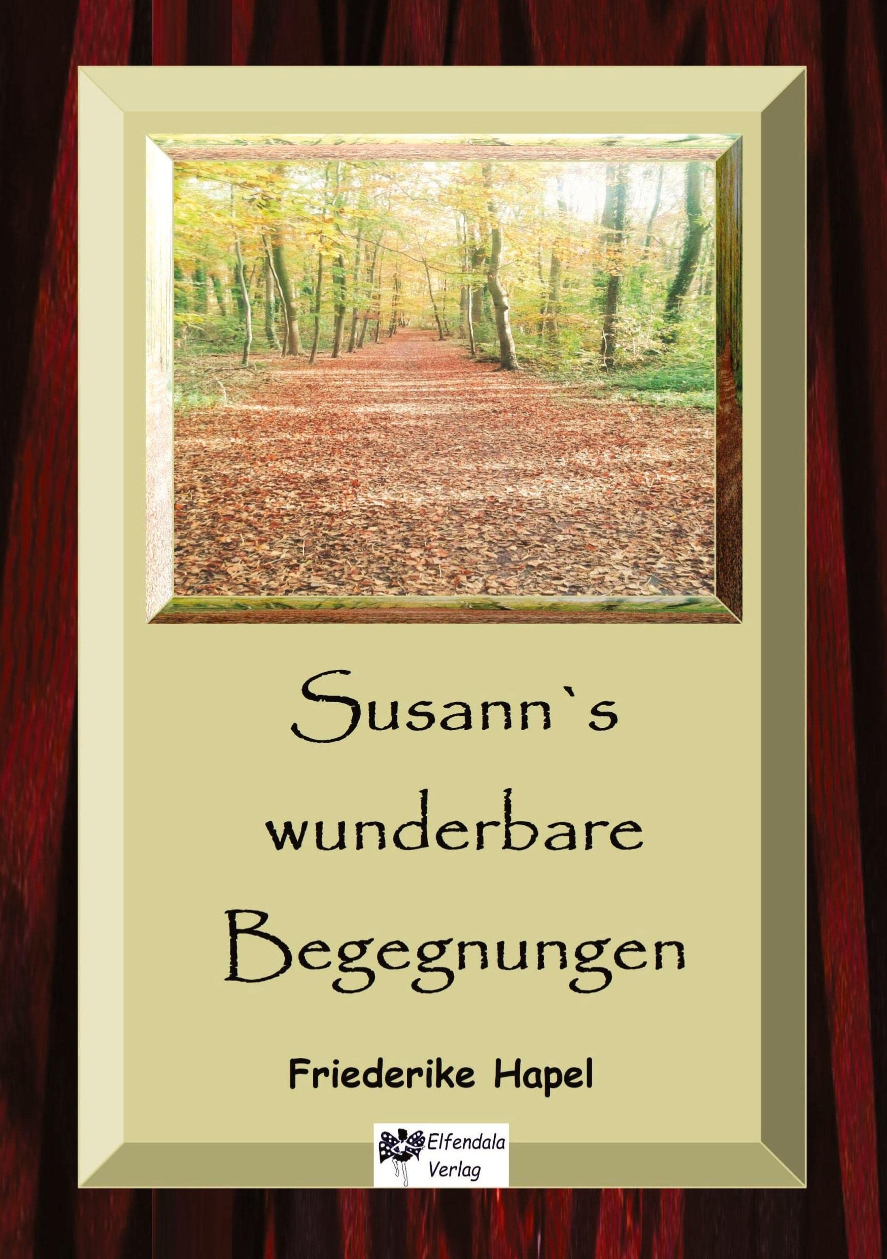 Susann´s wunderbare Begegnungen: Eine Erzählung über einen spirituellen Einweihungsweg Contemporary literature