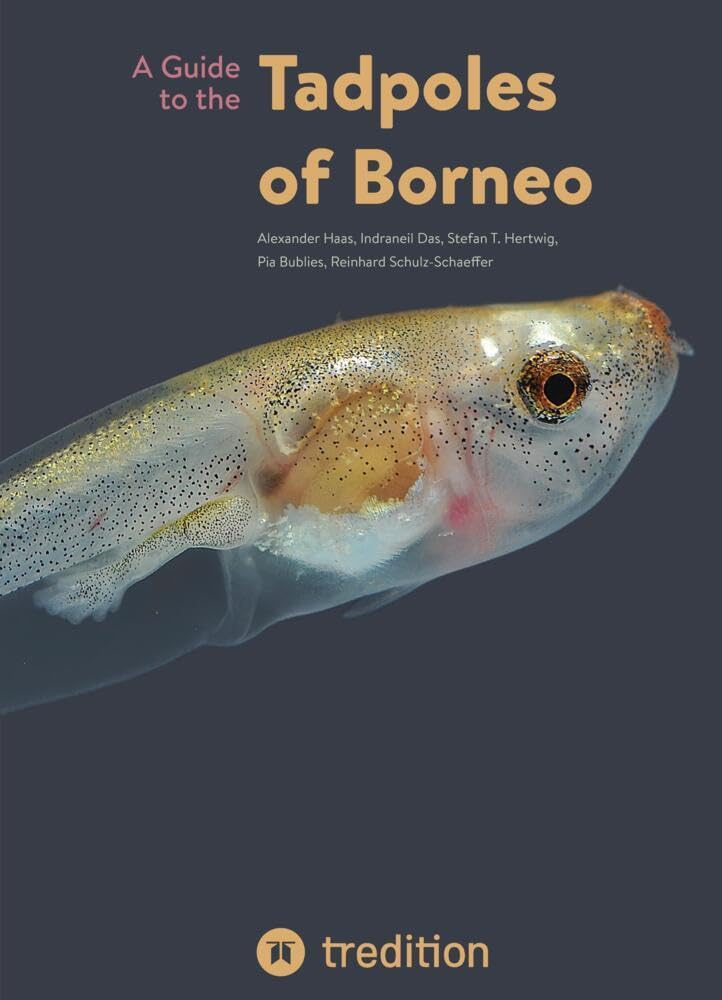 A Guide to the Tadpoles of Borneo Mathematics