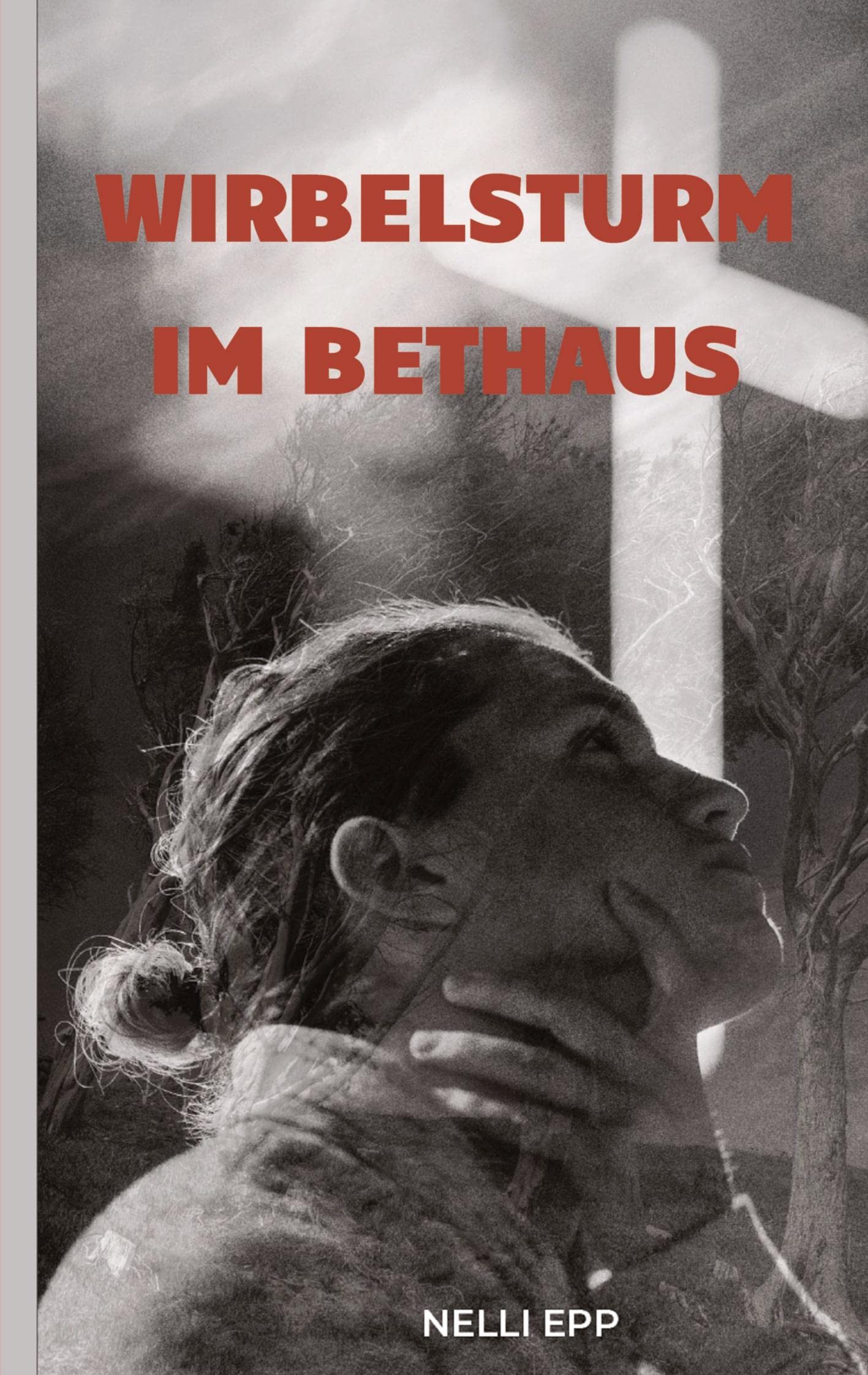 Wirbelsturm im Bethaus Contemporary literature Books