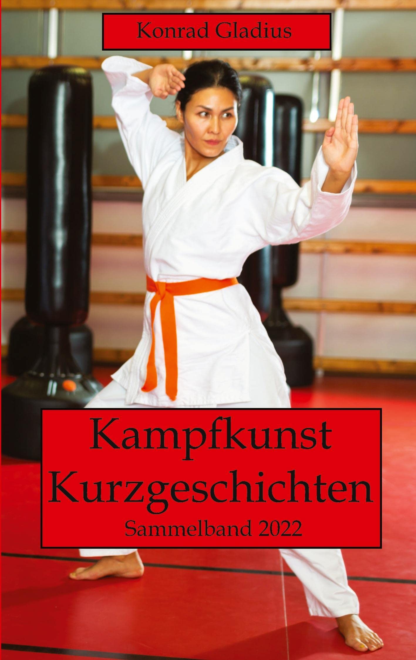 Kampfkunst Kurzgeschichten: Sammelband 2022 Contemporary literature