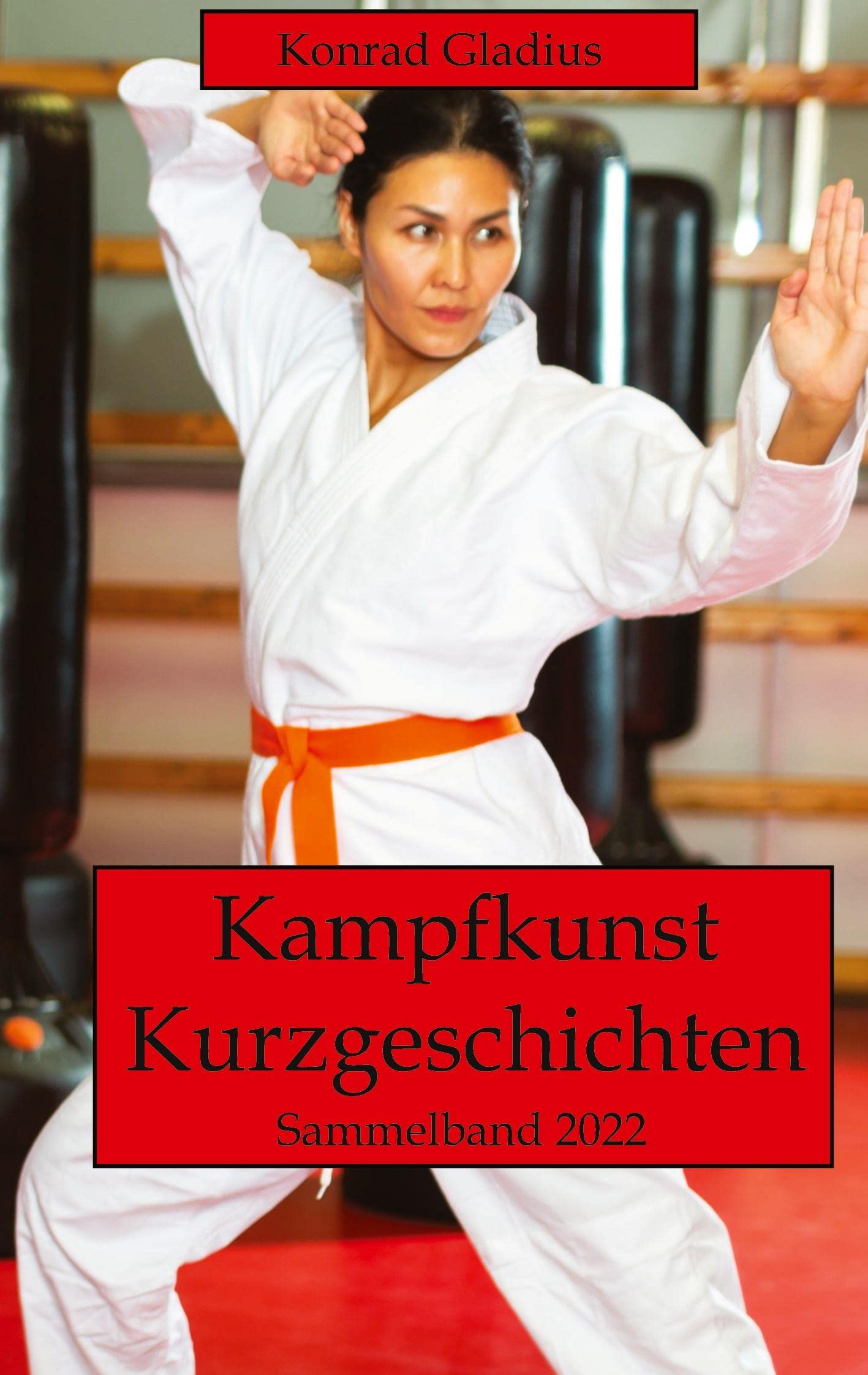 Kampfkunst Kurzgeschichten: Sammelband 2022 Contemporary literature