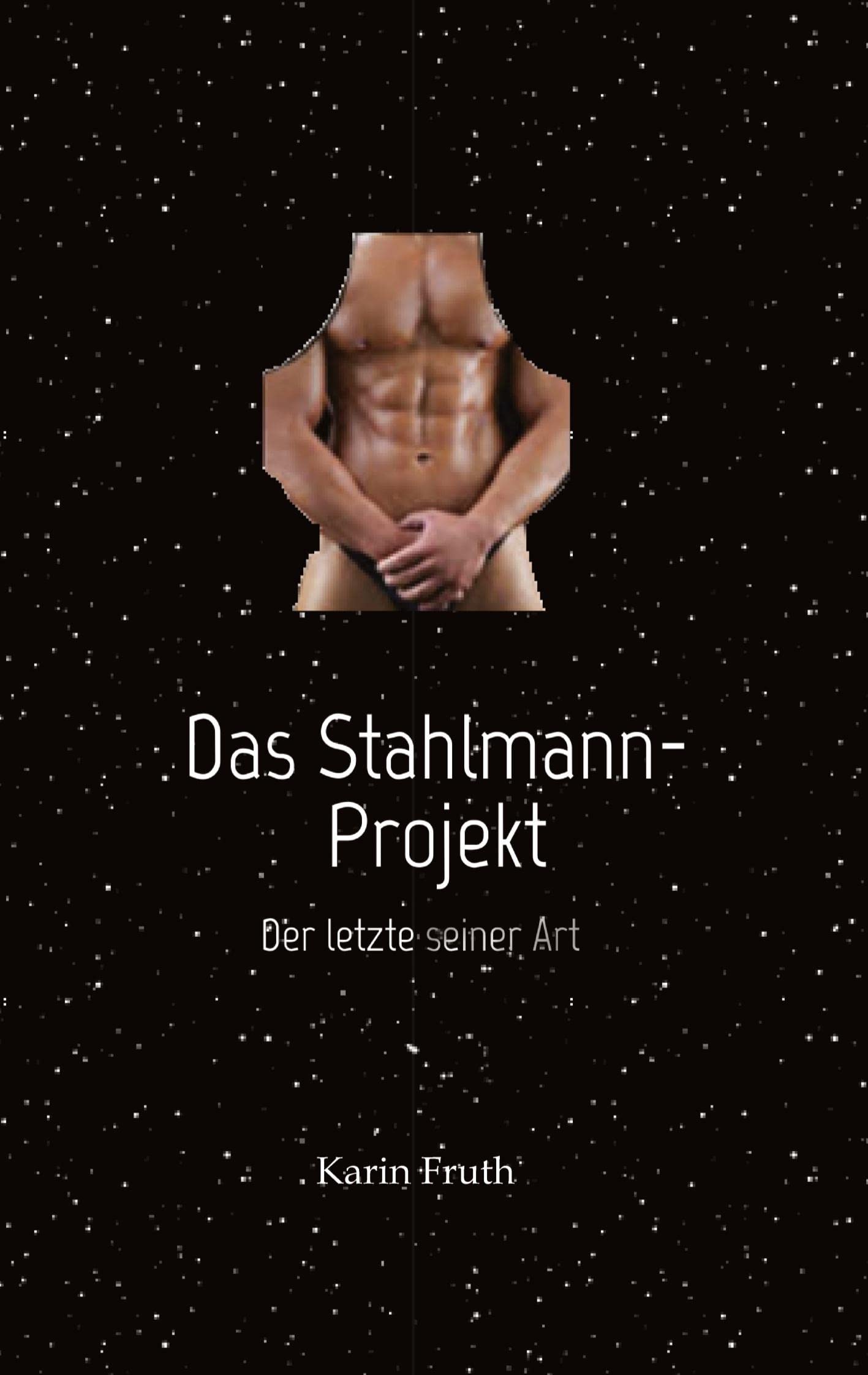 Das Stahlmann-Projekt Historical Fiction