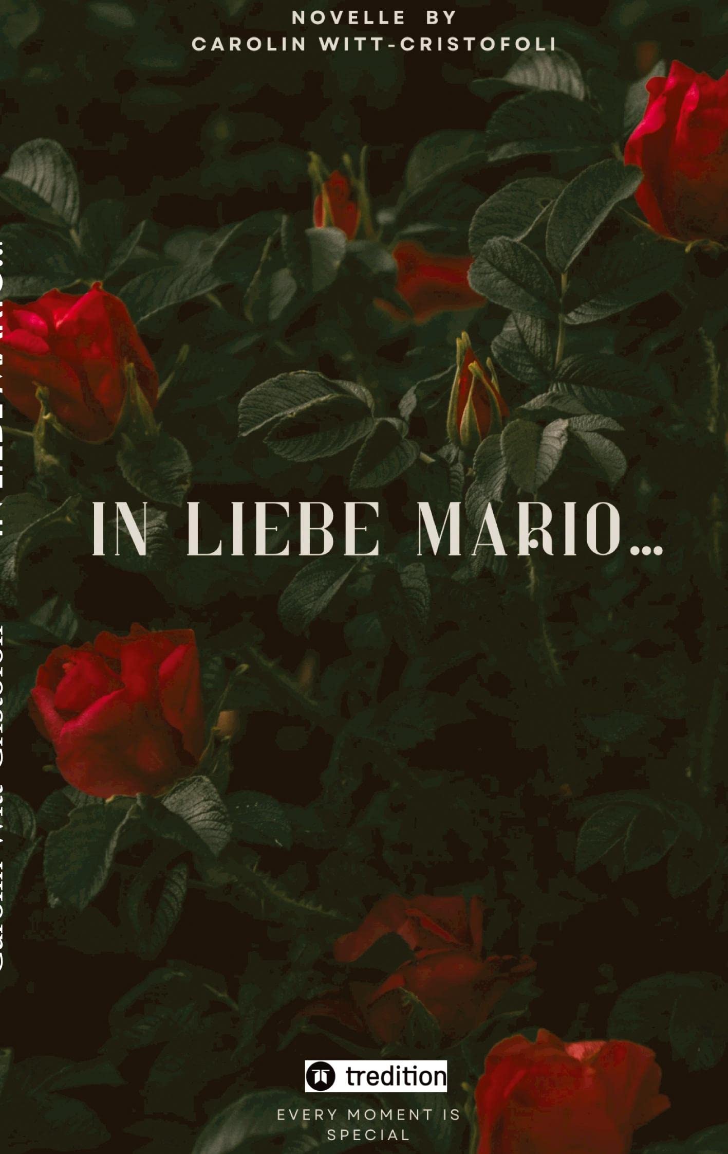 In Liebe Mario...: aus der Sicht von Paloma (In Liebe Mario...: Paloma) Contemporary literature