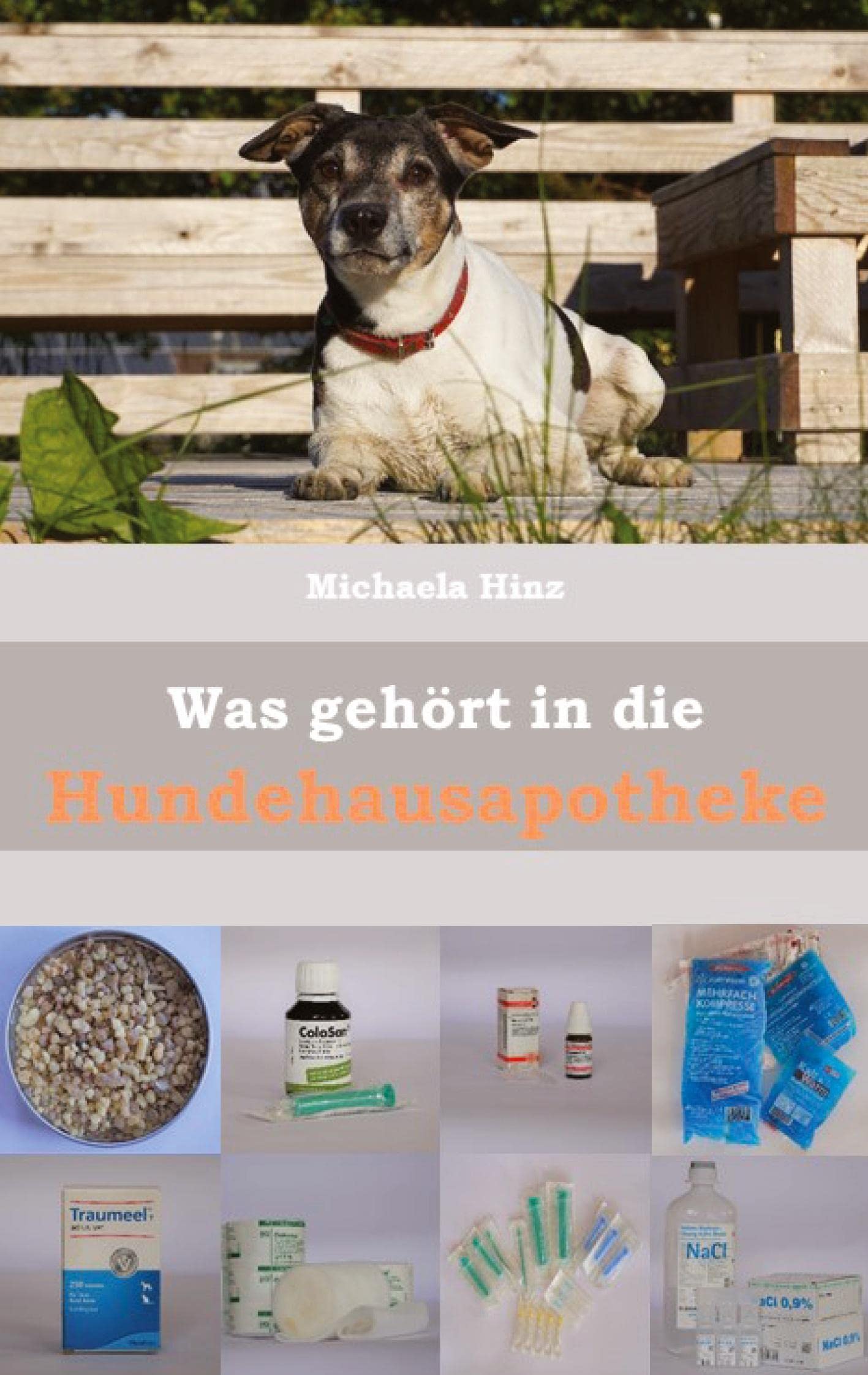 Was gehört in die Hundehausaportheke: Erste Hilfe für den Hund Medicine