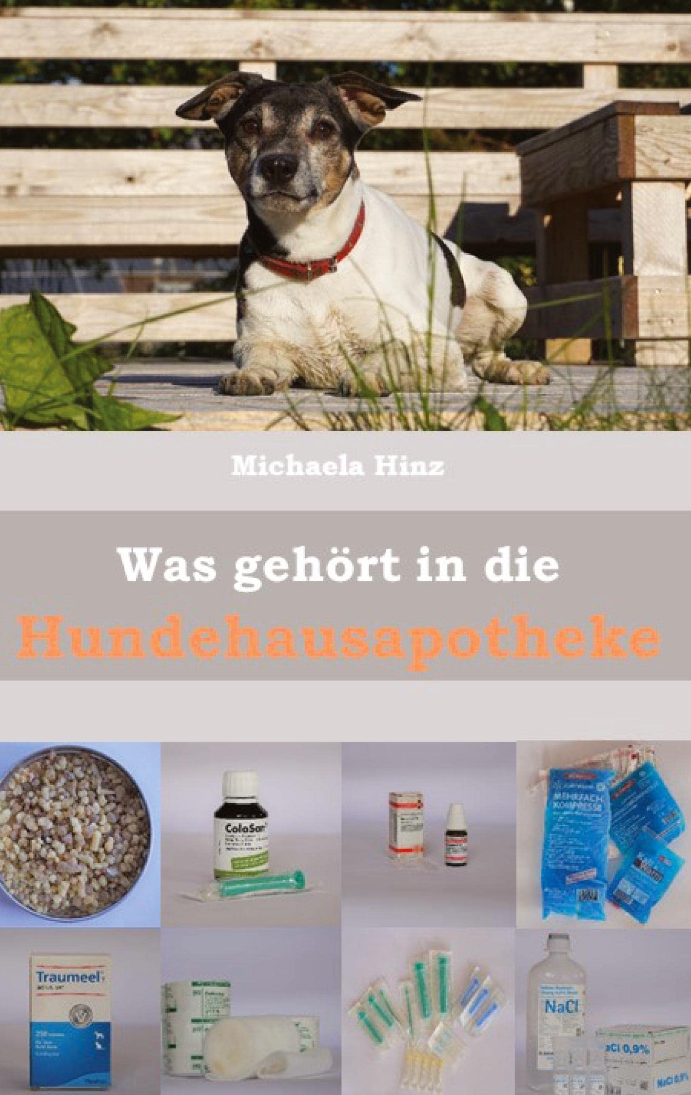 Was gehört in die Hundehausaportheke: Erste Hilfe für den Hund Medicine