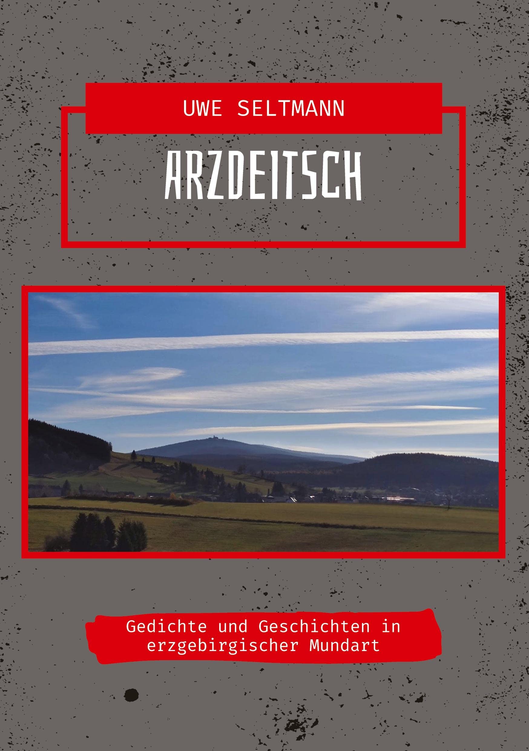 ArzDeitsch: Gedichte und Geschichten in erzgebirgischer Mundart (Uwe Seltmann - Gedichte & Co.: Arzdeitsch) Contemporary literature
