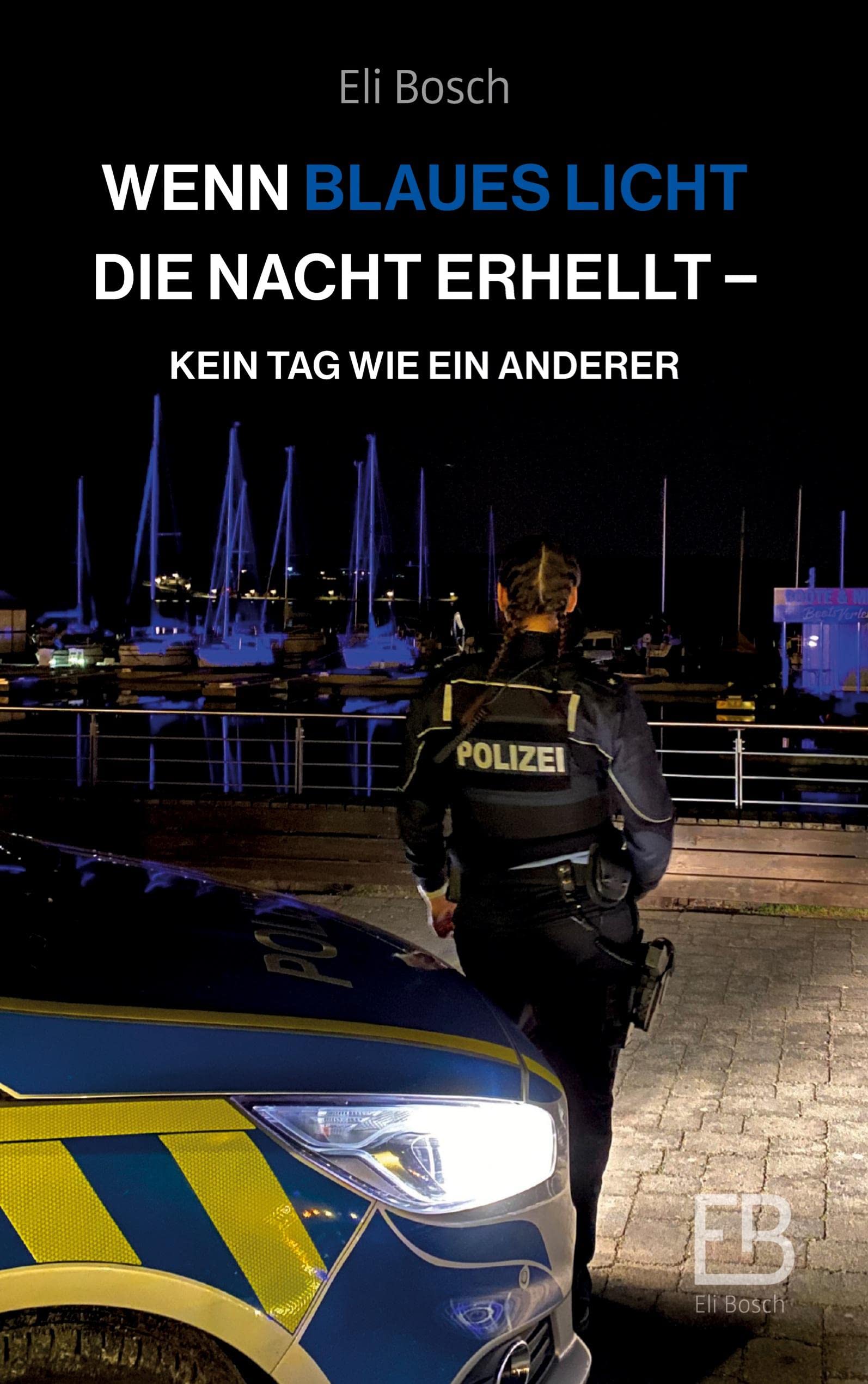 Wenn blaues Licht die Nacht erhellt book
