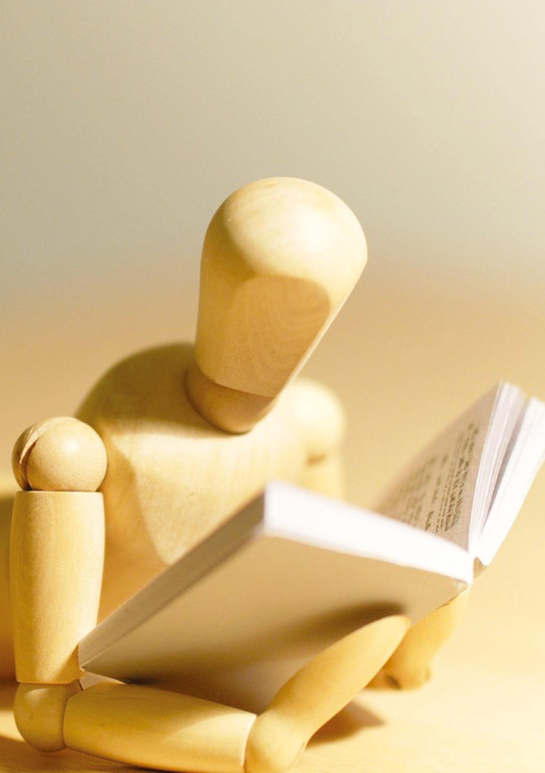 Erziehungsprobleme und Lösungen: Der große Erziehungsratgeber Social Sciences