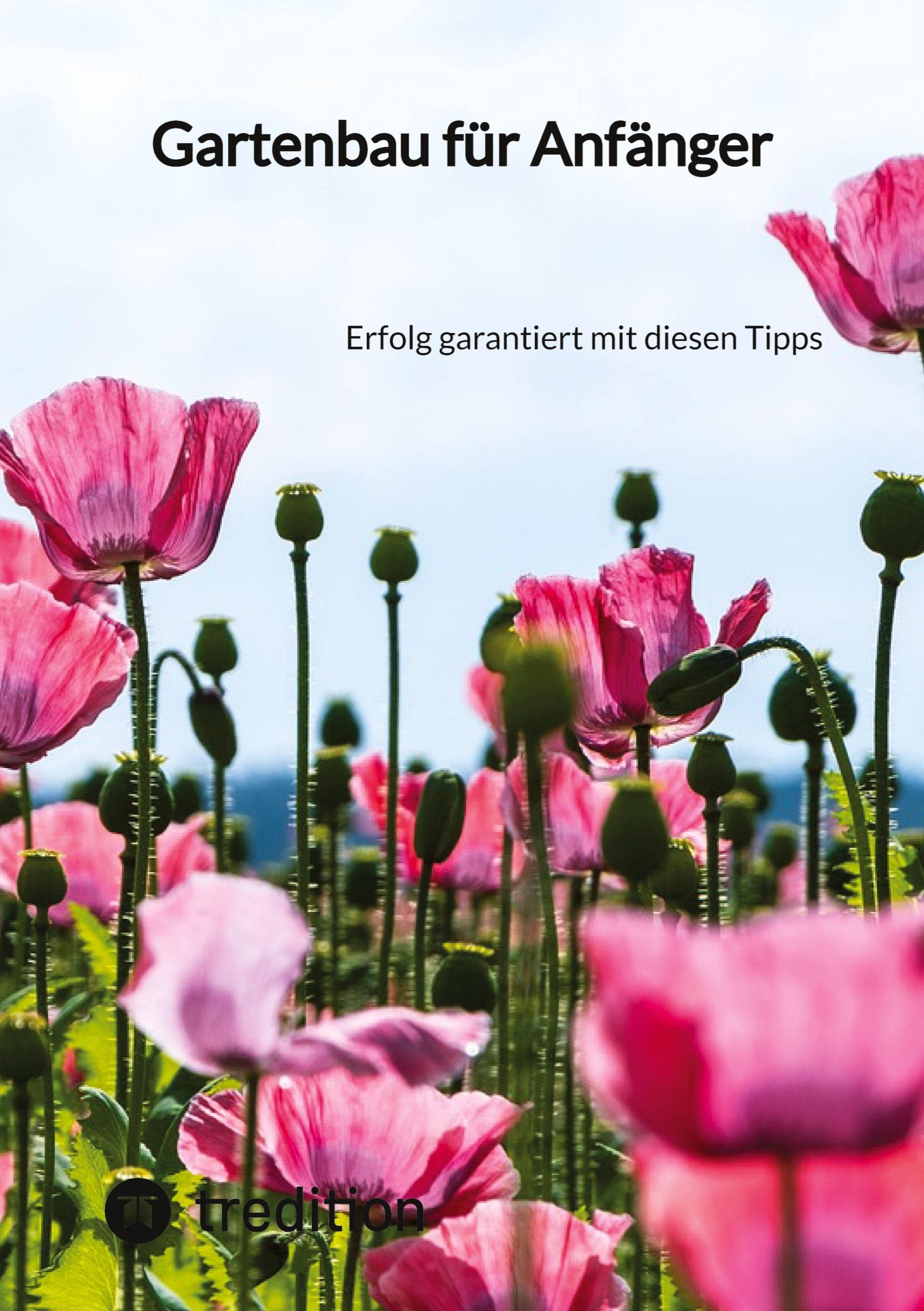 Gartenbau für Anfänger: Erfolg garantiert mit diesen Tipps Garden & Plants