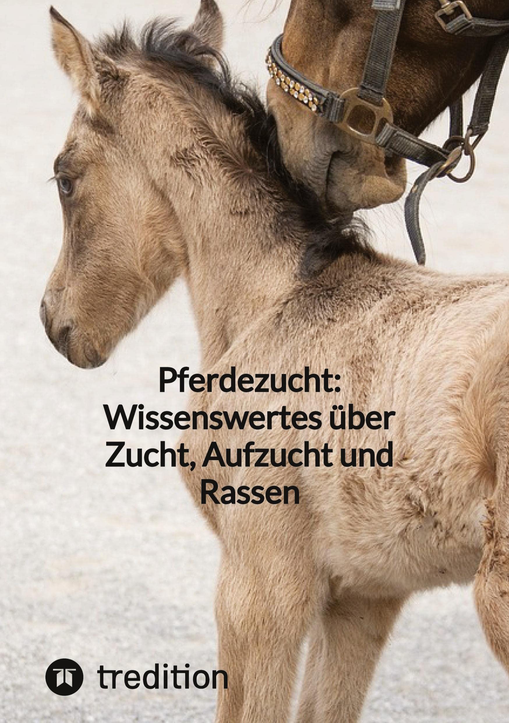 Pferdezucht: Wissenswertes über Zucht, Aufzucht und Rassen Medicine