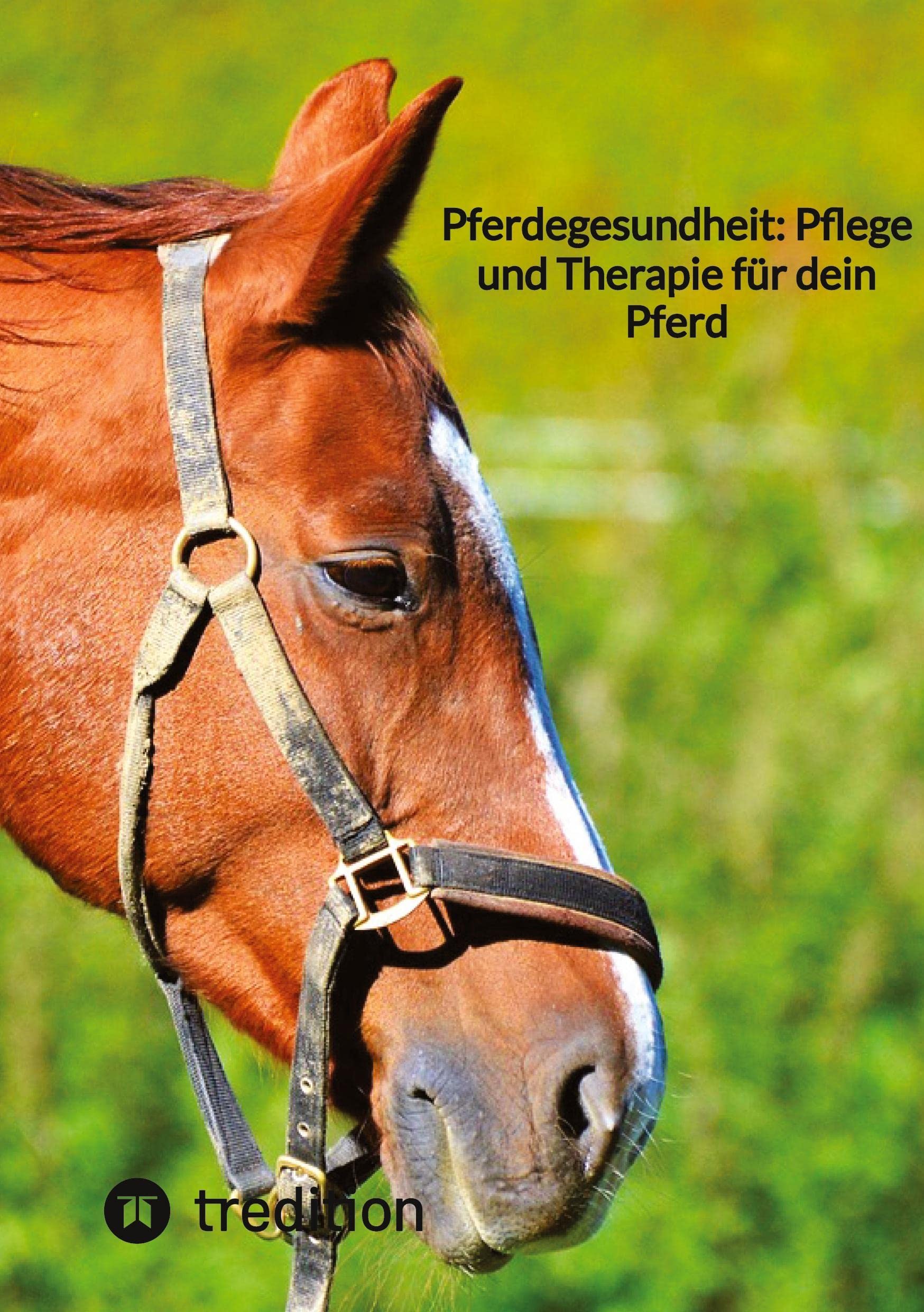 Pferdegesundheit: Pflege und Therapie für dein Pferd Medicine