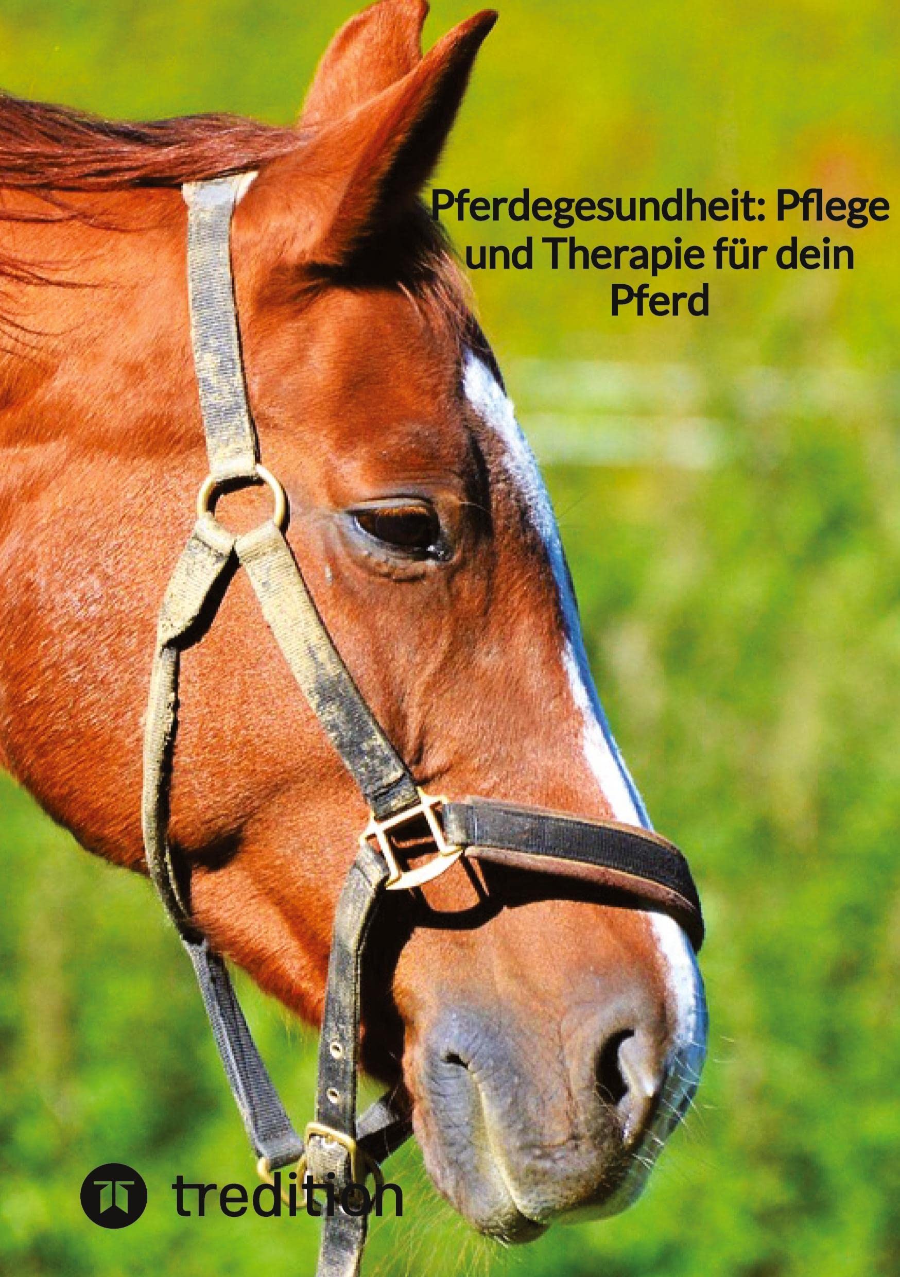 Pferdegesundheit: Pflege und Therapie für dein Pferd Medicine
