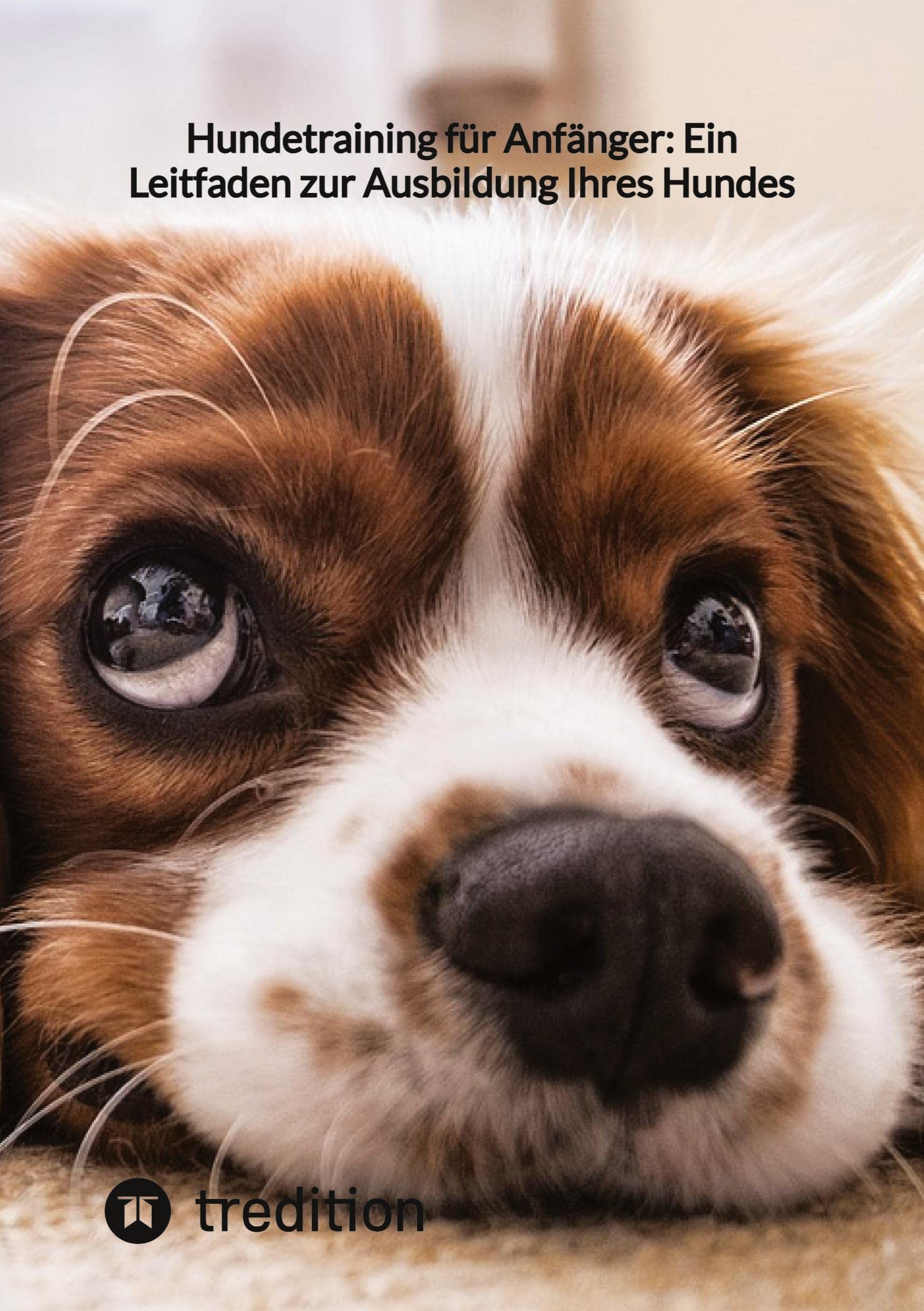 Hundetraining für Anfänger: Ein Leitfaden zur Ausbildung Ihres Hundes Pets