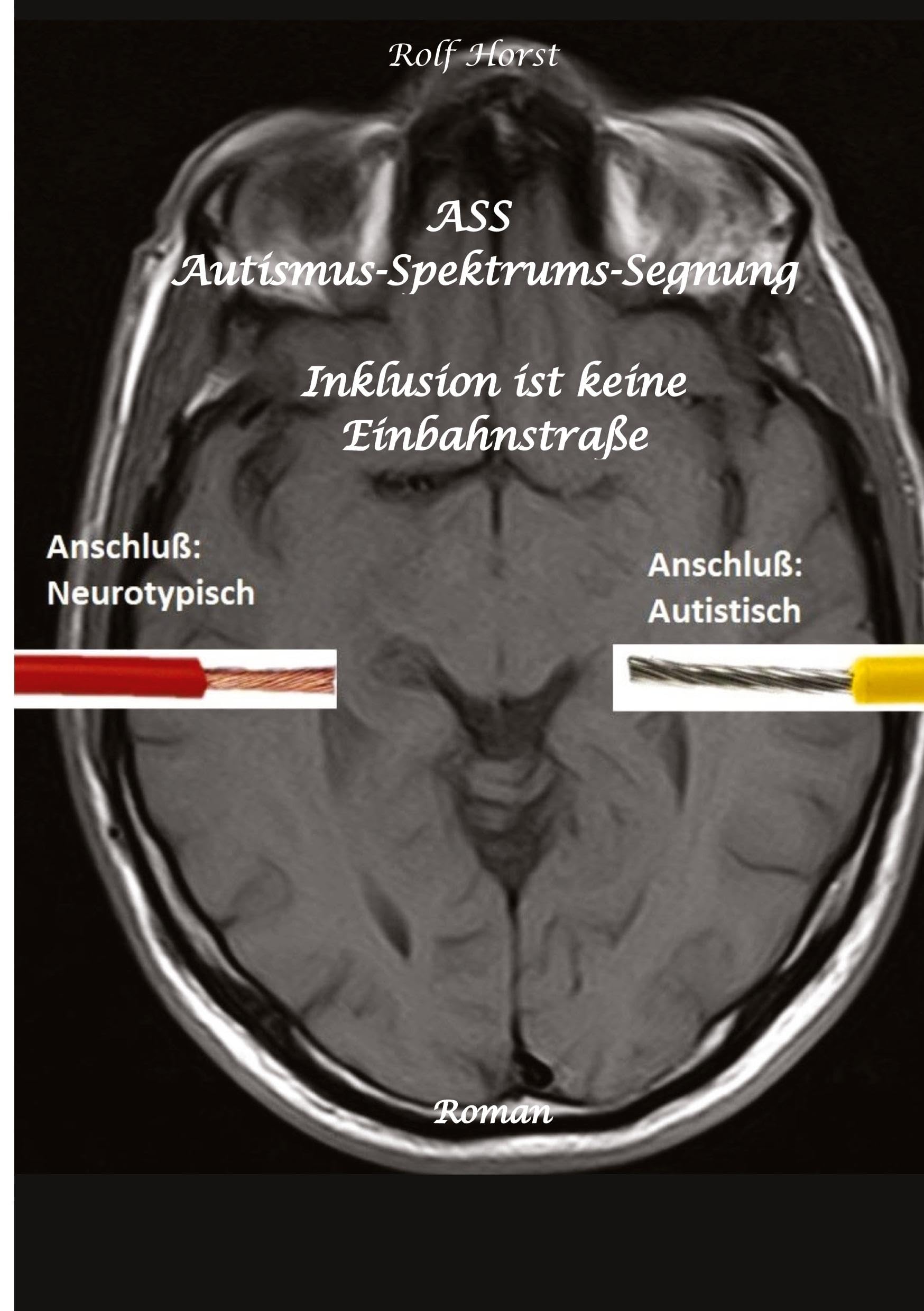 ASS Autismus-Spektrums-Segnung - Asperger-Syndrom, Sucht, Alkoholismus, Spiritualität, Buddhismus: Inklusion ist keine Einbahnstraße Contemporary literature Books