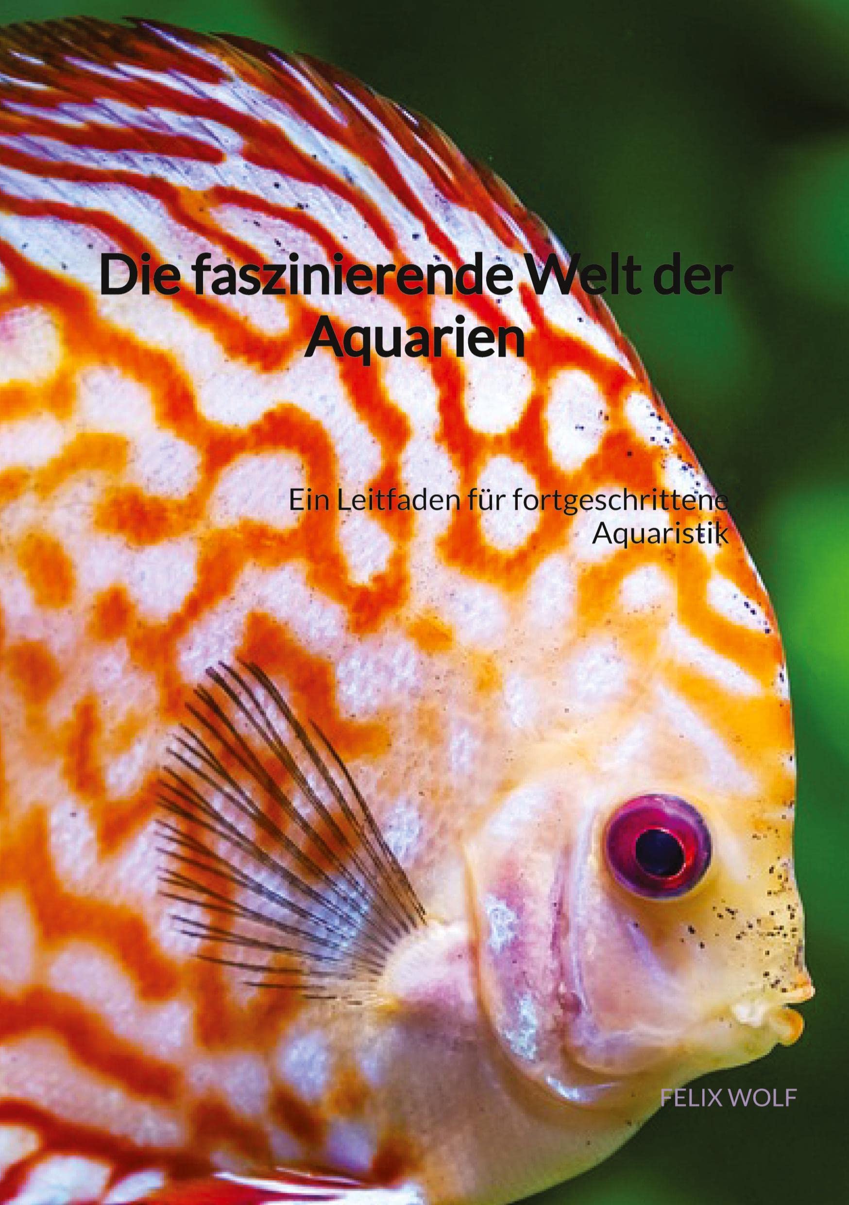 Die faszinierende Welt der Aquarien: Ein Leitfaden für fortgeschrittene Aquaristik Pets