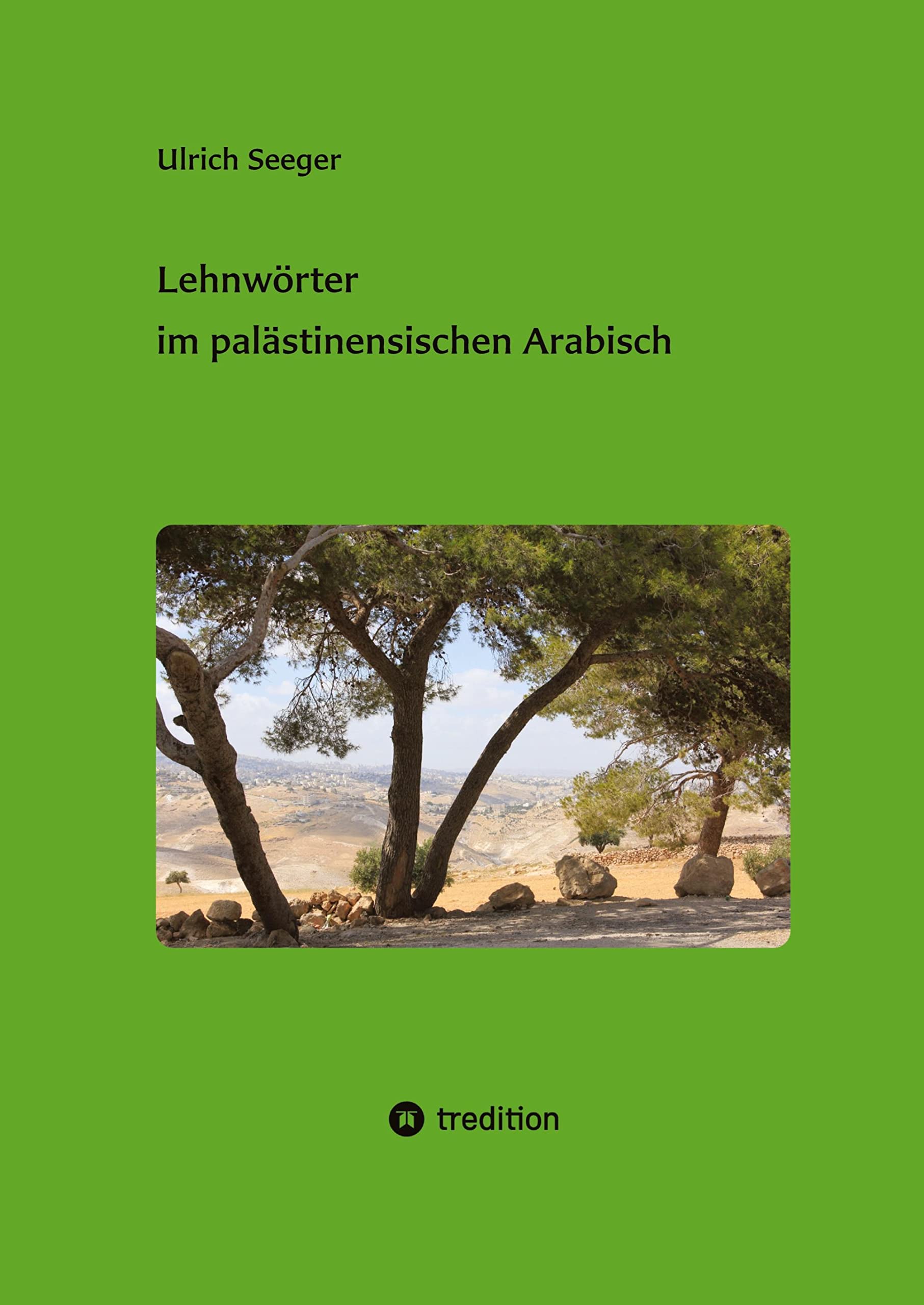 Lehnwörter im palästinensischen Arabisch: DE (Studien zum palästinensischen Arabisch) Social Sciences