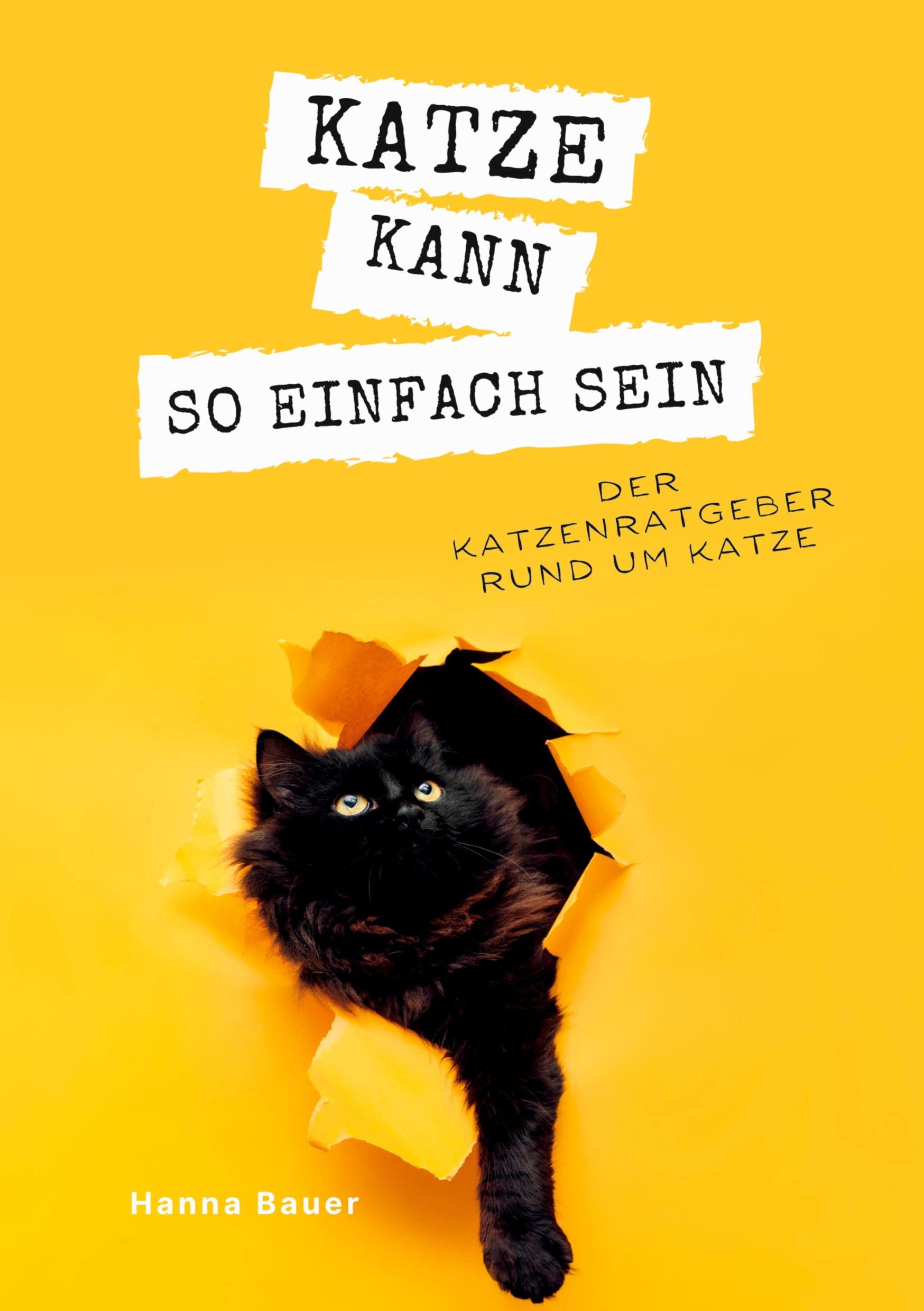 Katze kann so einfach sein: Der Katzenratgeber rund um Katze Medicine