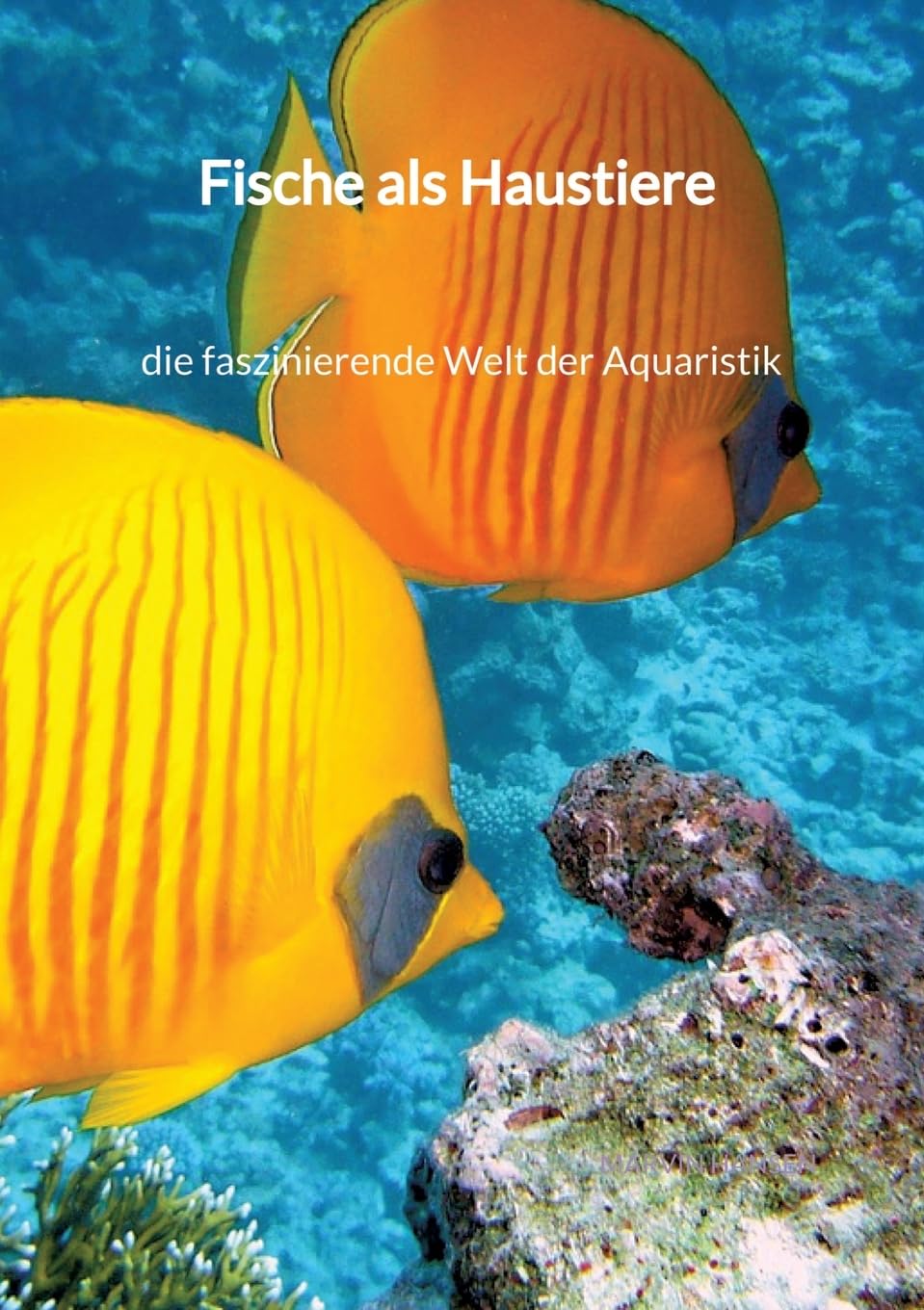 Fische als Haustiere - die faszinierende Welt der Aquaristik Pets