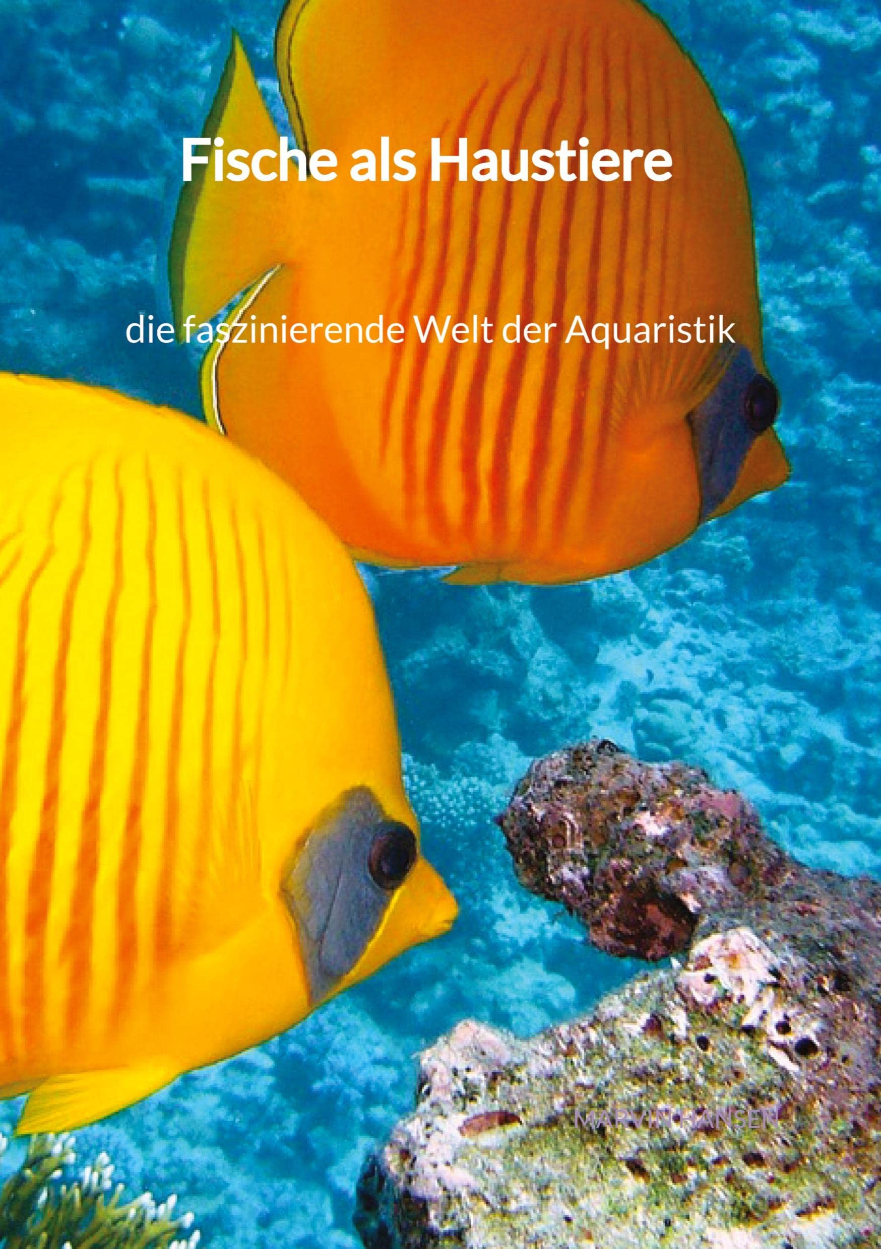 Fische als Haustiere - die faszinierende Welt der Aquaristik Pets