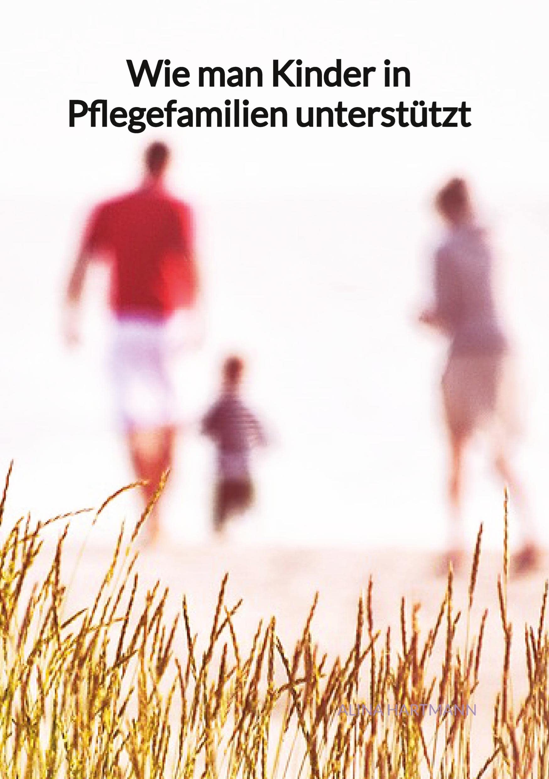 Wie man Kinder in Pflegefamilien unterstützt Social Sciences