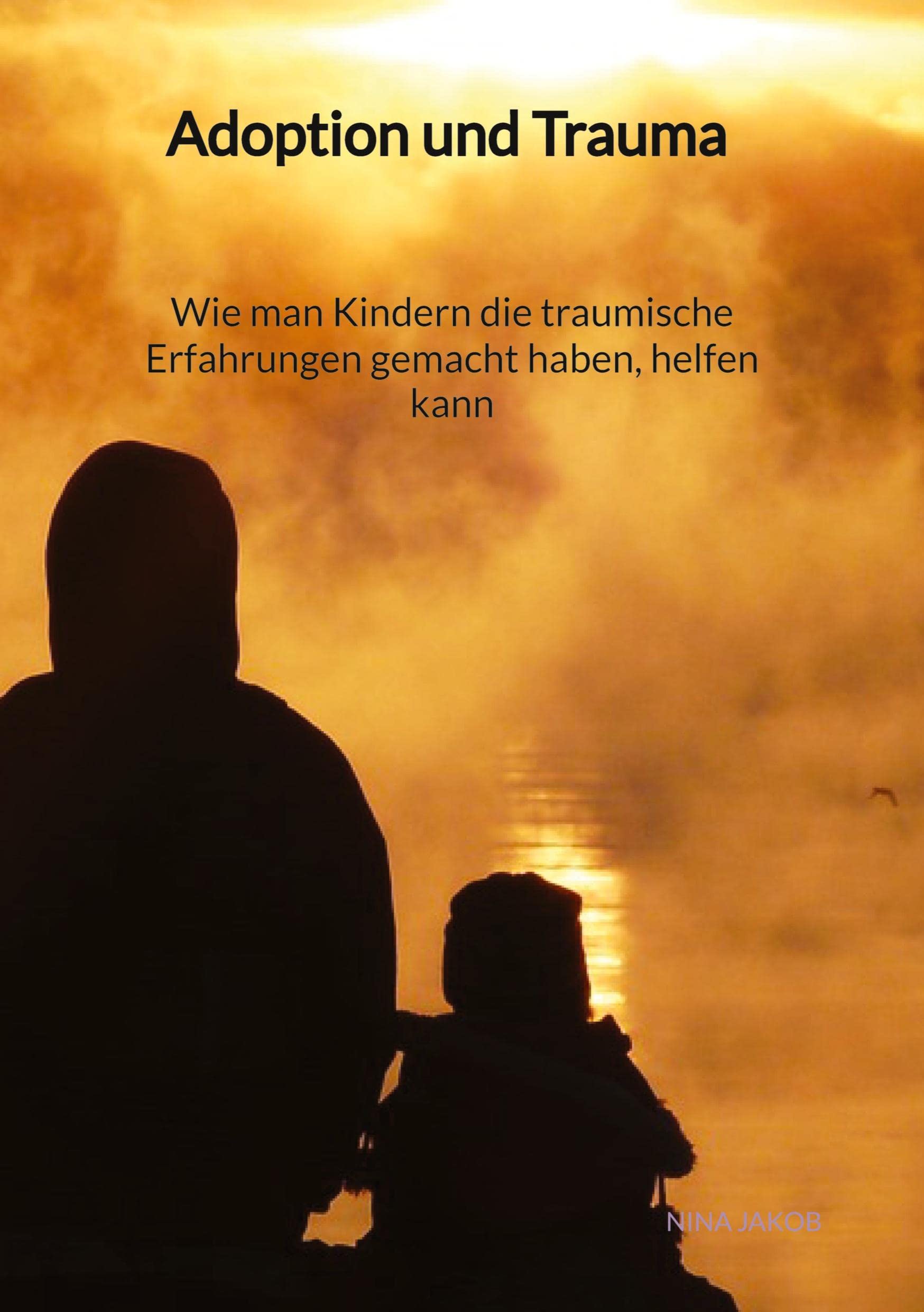 Adoption und Trauma - Wie man Kindern die traumische Erfahrungen gemacht haben, helfen kann Social Sciences