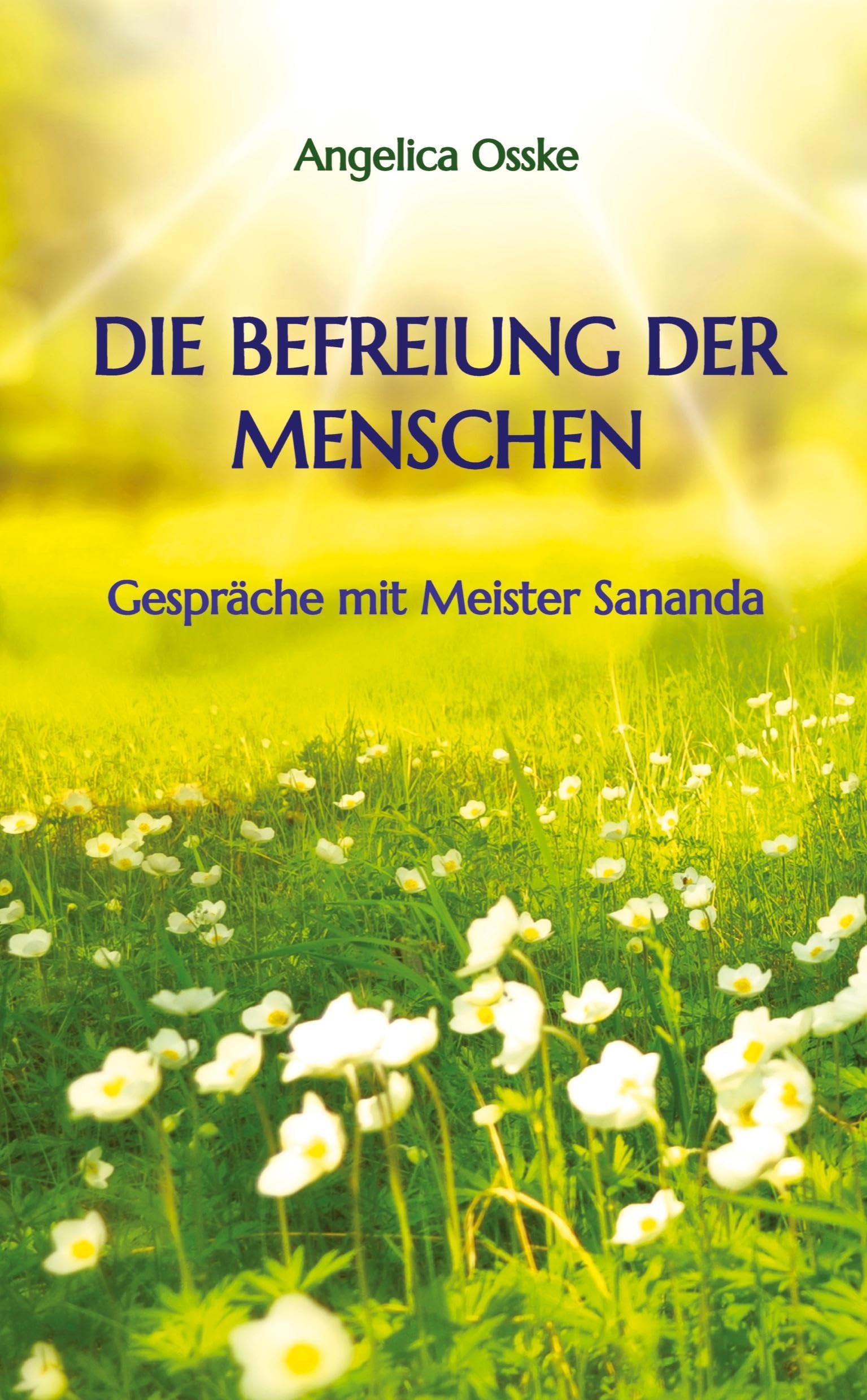 Die Befreiung der Menschen: Gespräche mit Meister Sananda Religion & Esotericism