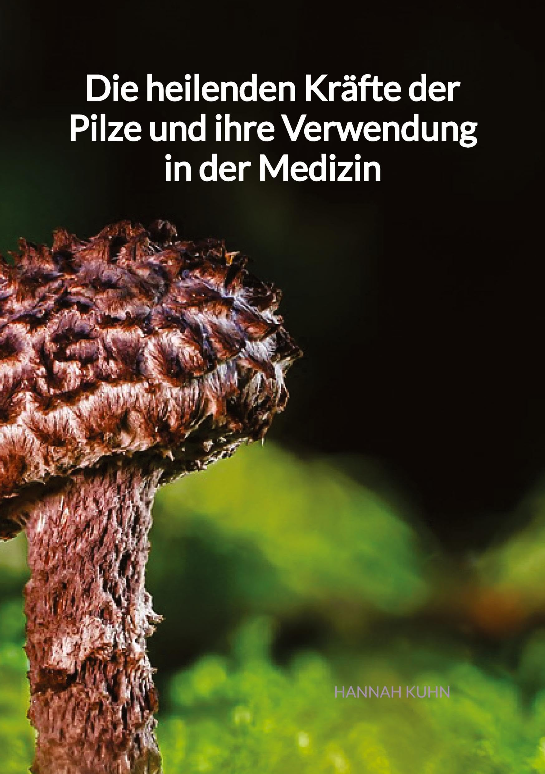 Die heilenden Kräfte der Pilze und ihre Verwendung in der Medizin Natural Sciences