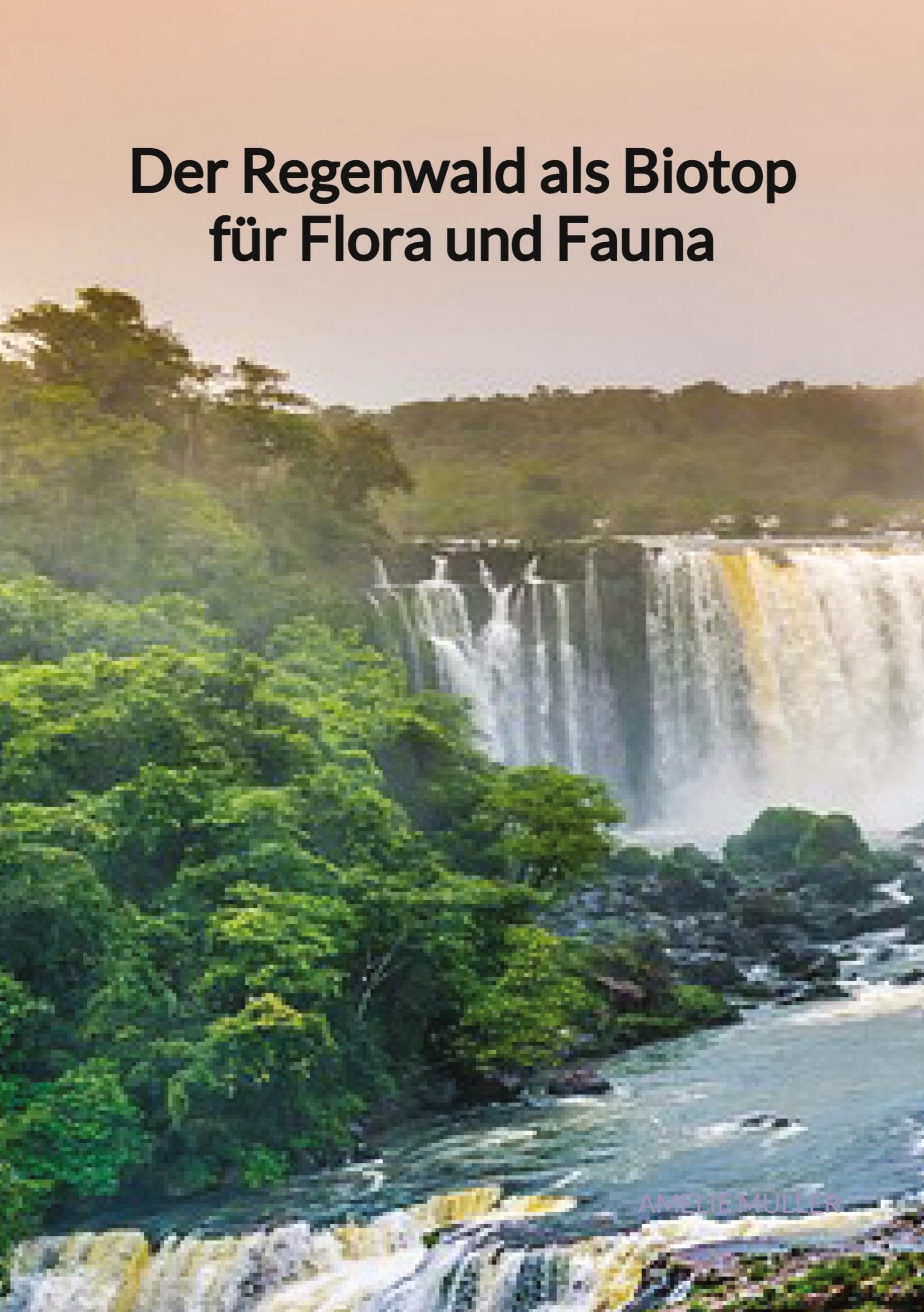 Der Regenwald als Biotop für Flora und Fauna Geology & Geography