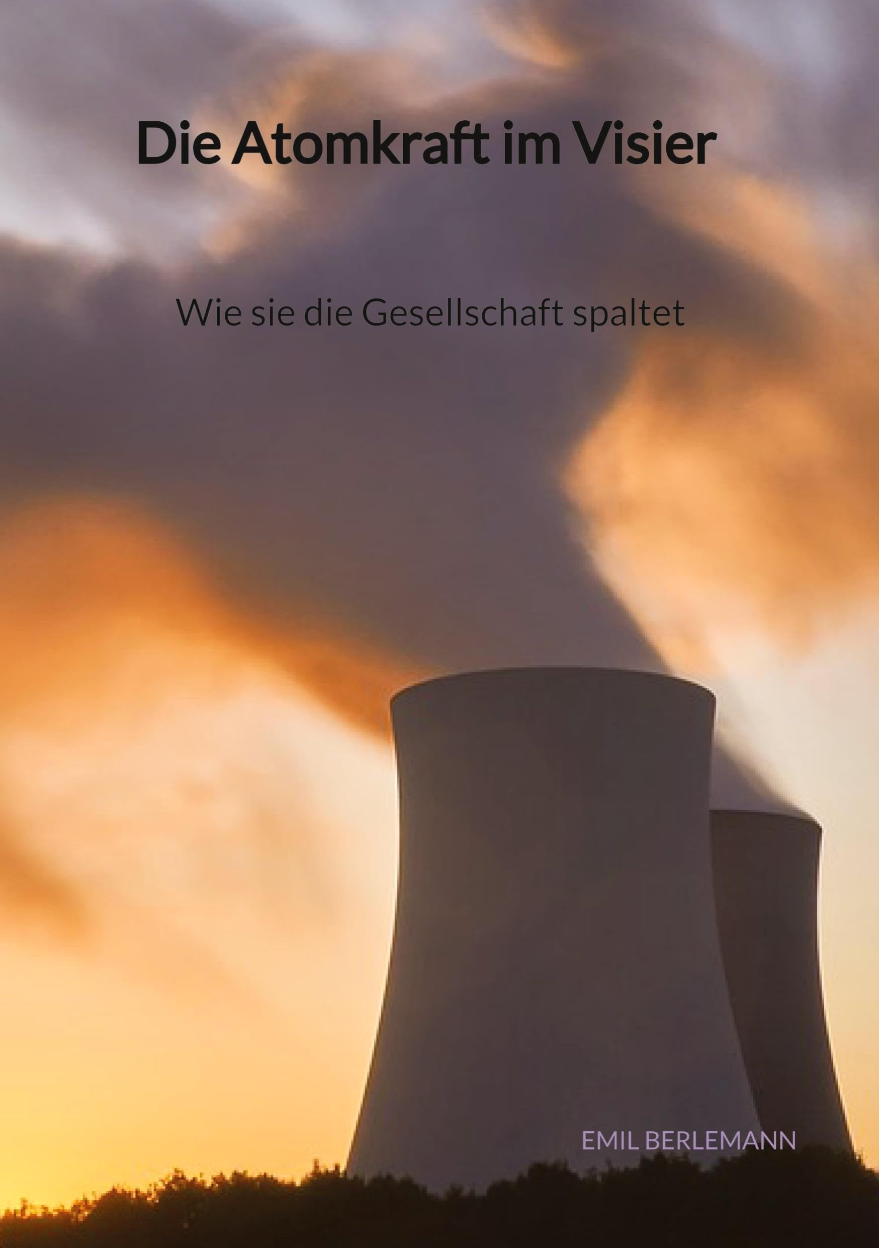 Die Atomkraft im Visier - Wie sie die Gesellschaft spaltet: DE Mathematics