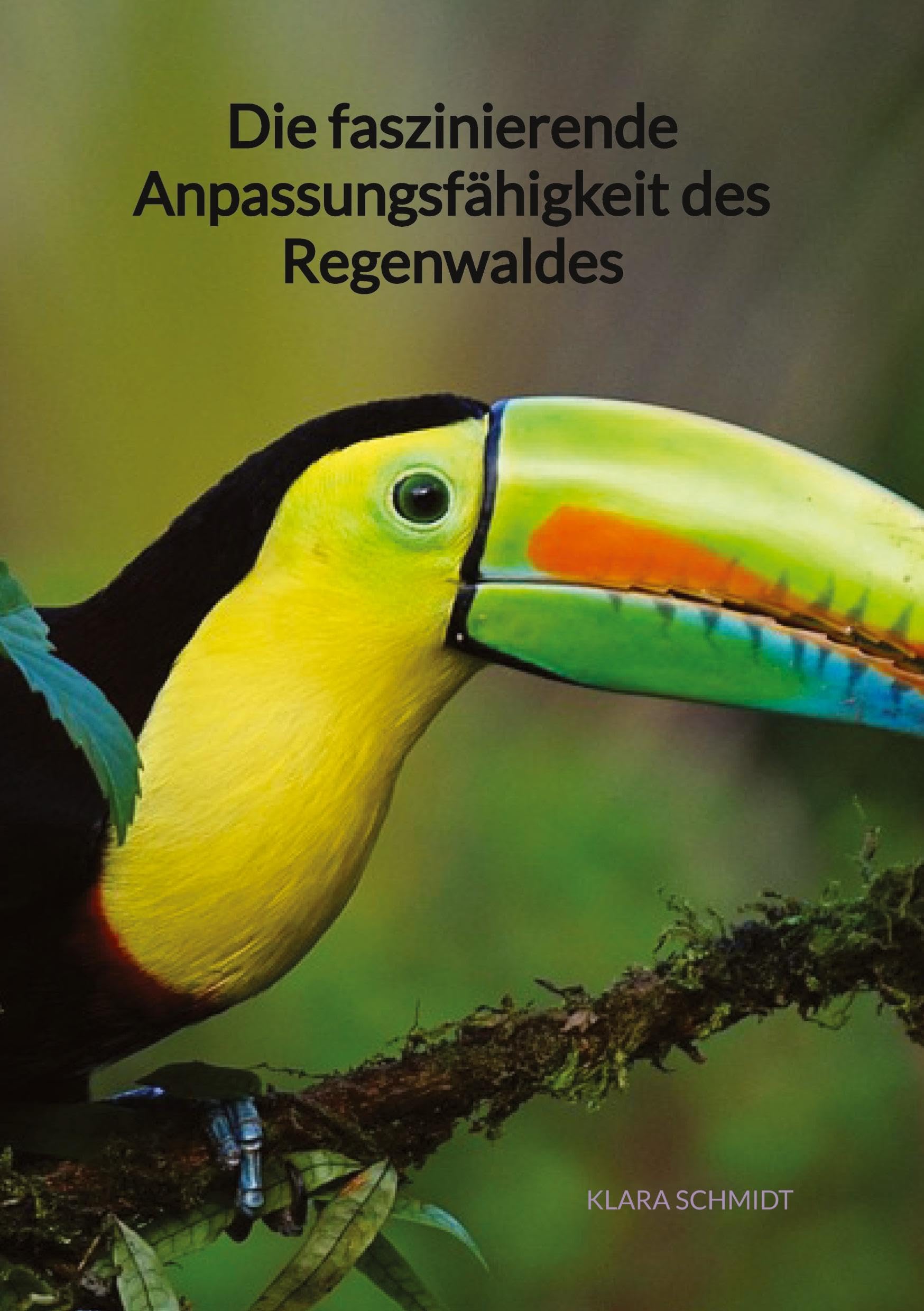 Die faszinierende Anpassungsfähigkeit des Regenwaldes Geology & Geography