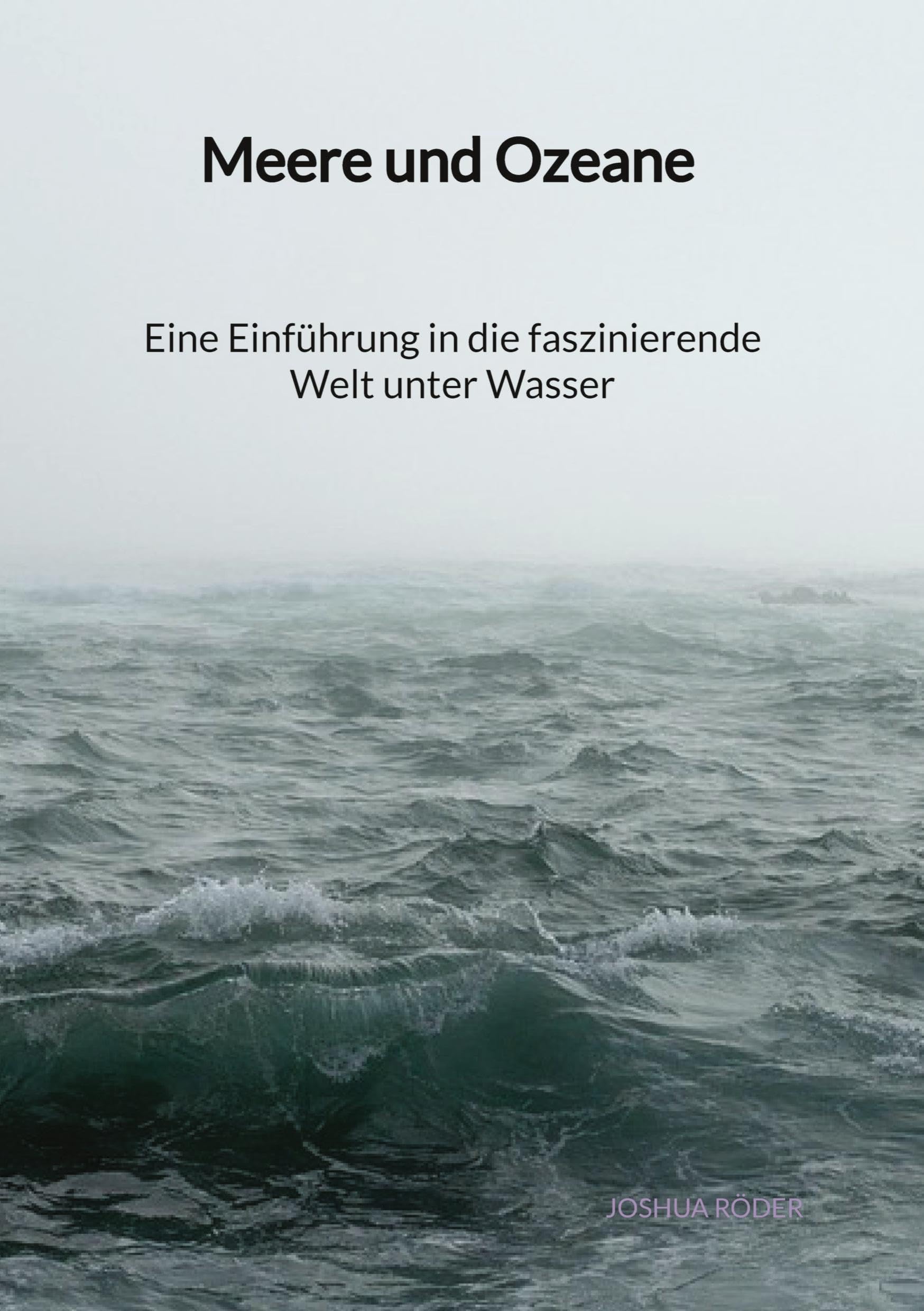 Meere und Ozeane - Eine Einführung in die faszinierende Welt unter Wasser Mathematics