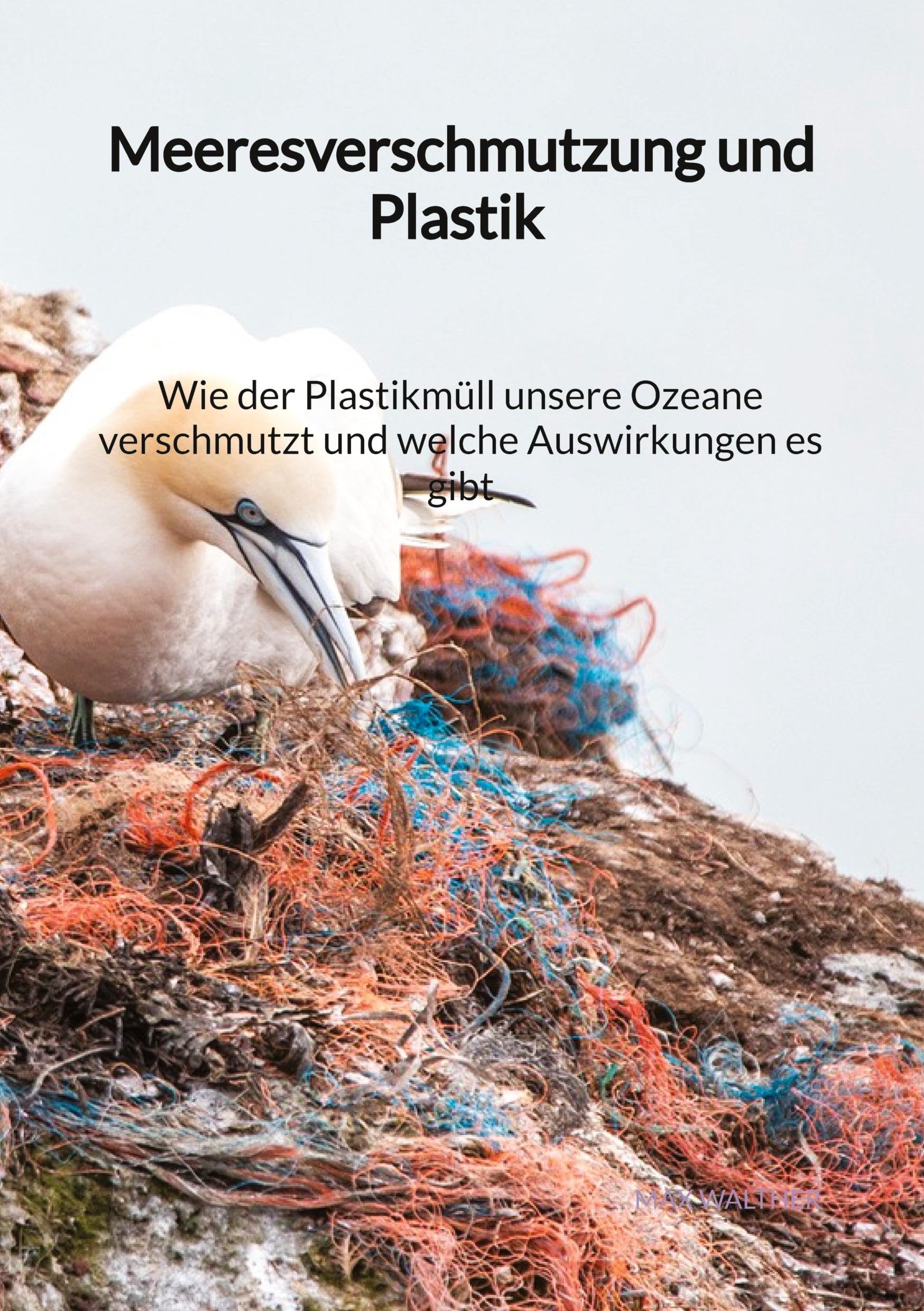 Meeresverschmutzung und Plastik - Wie der Plastikmüll unsere Ozeane verschmutzt und welche Auswirkungen es gibt Mathematics