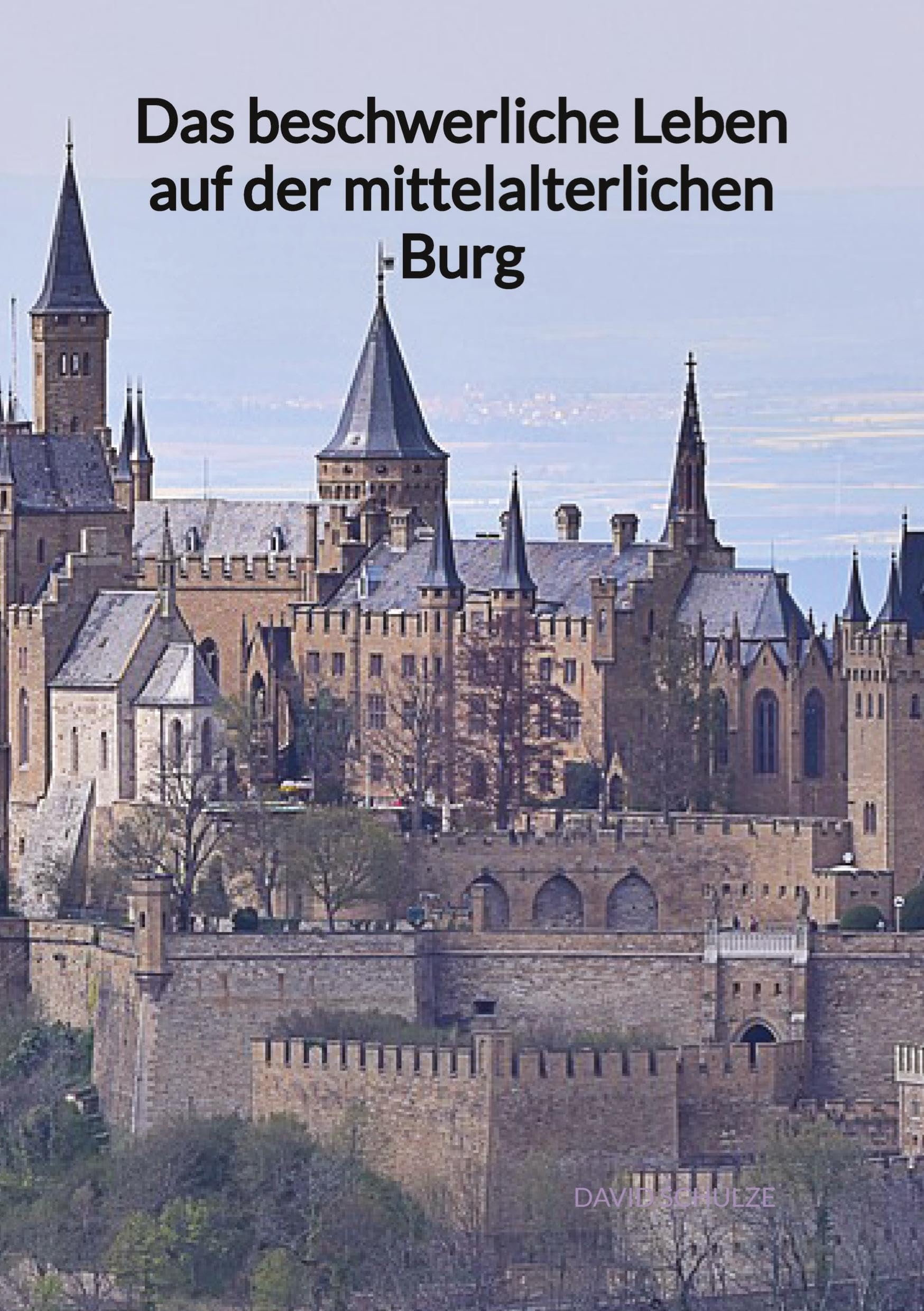Das beschwerliche Leben auf der mittelalterlichen Burg Politics & History