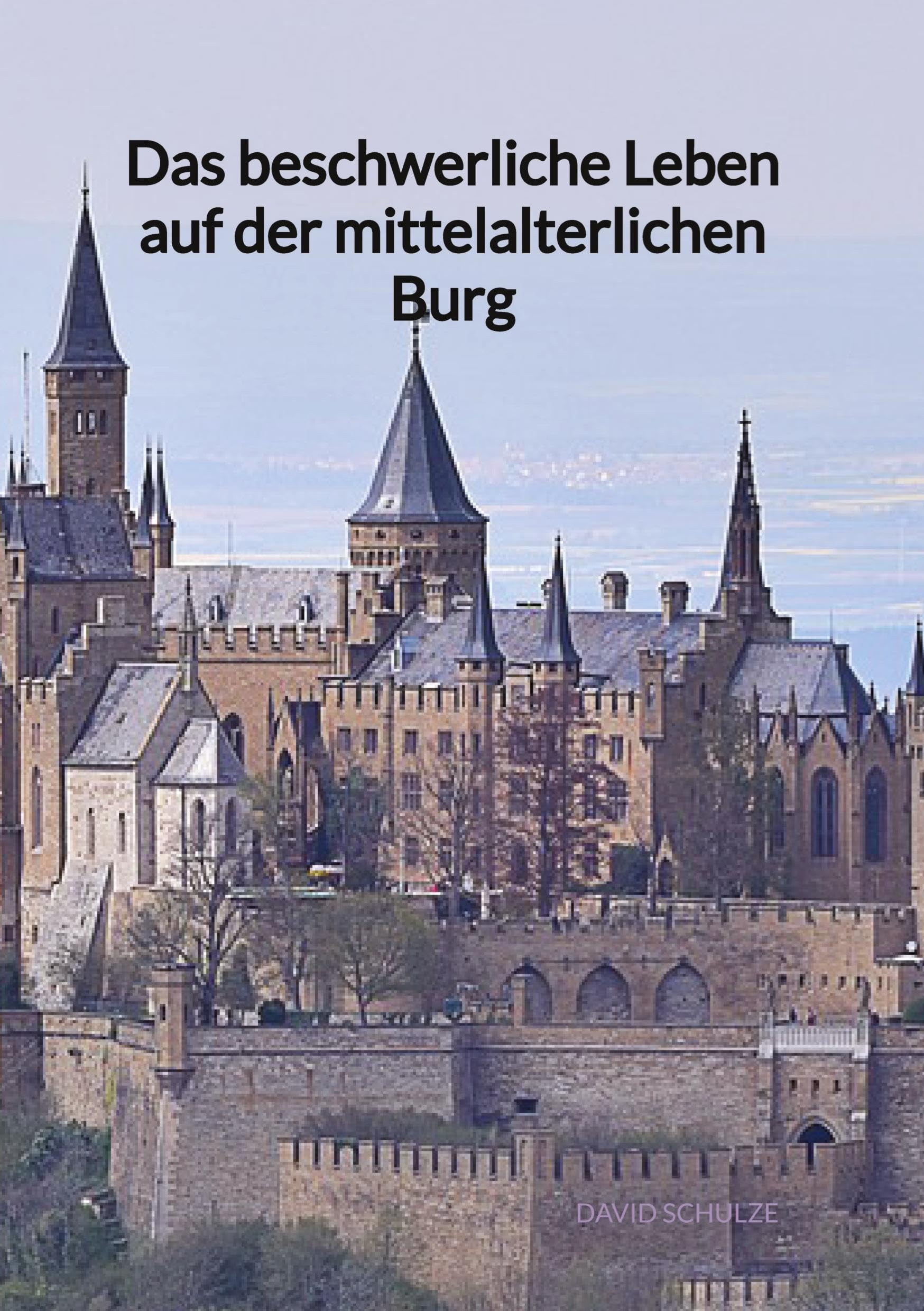 Das beschwerliche Leben auf der mittelalterlichen Burg Politics & History