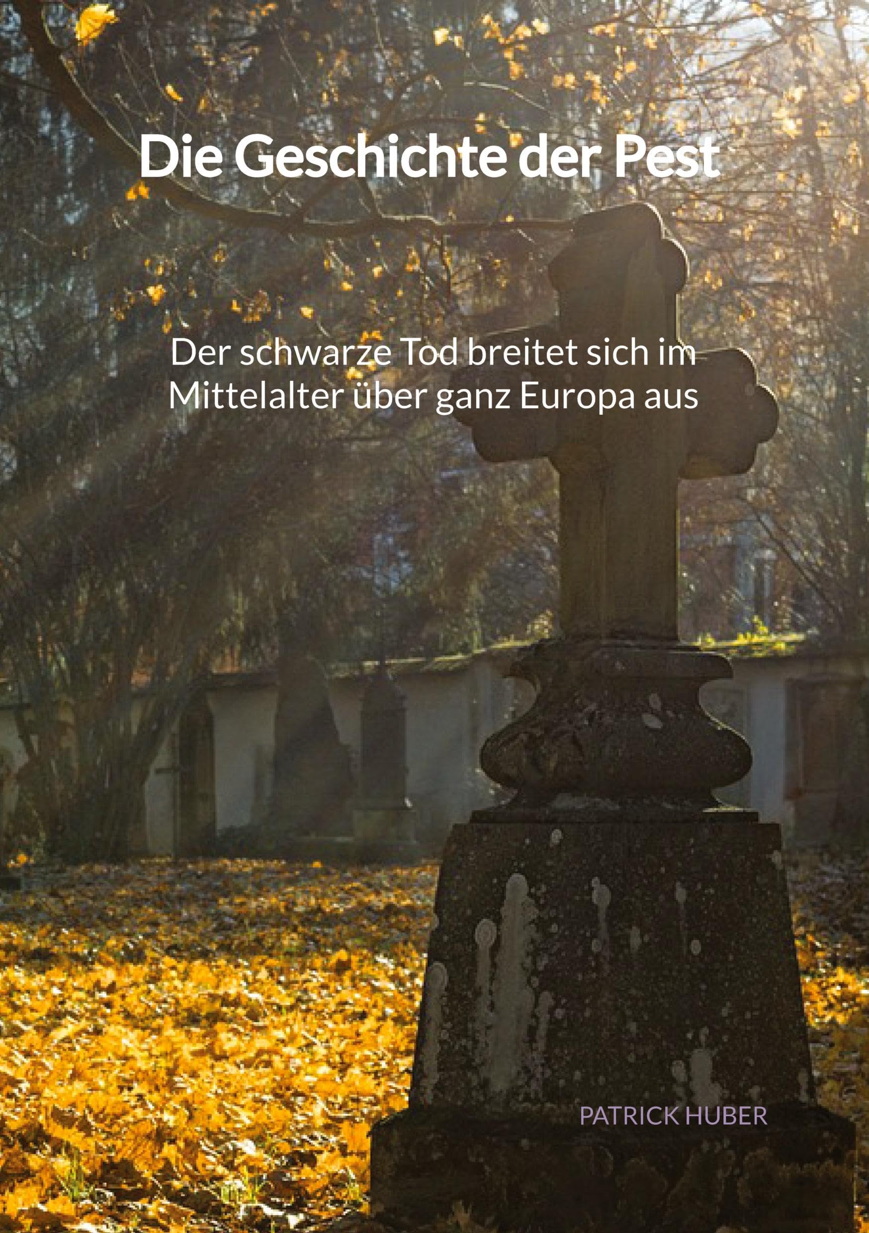 Die Geschichte der Pest - Der schwarze Tod breitet sich im Mittelalter über ganz Europa aus Politics & History