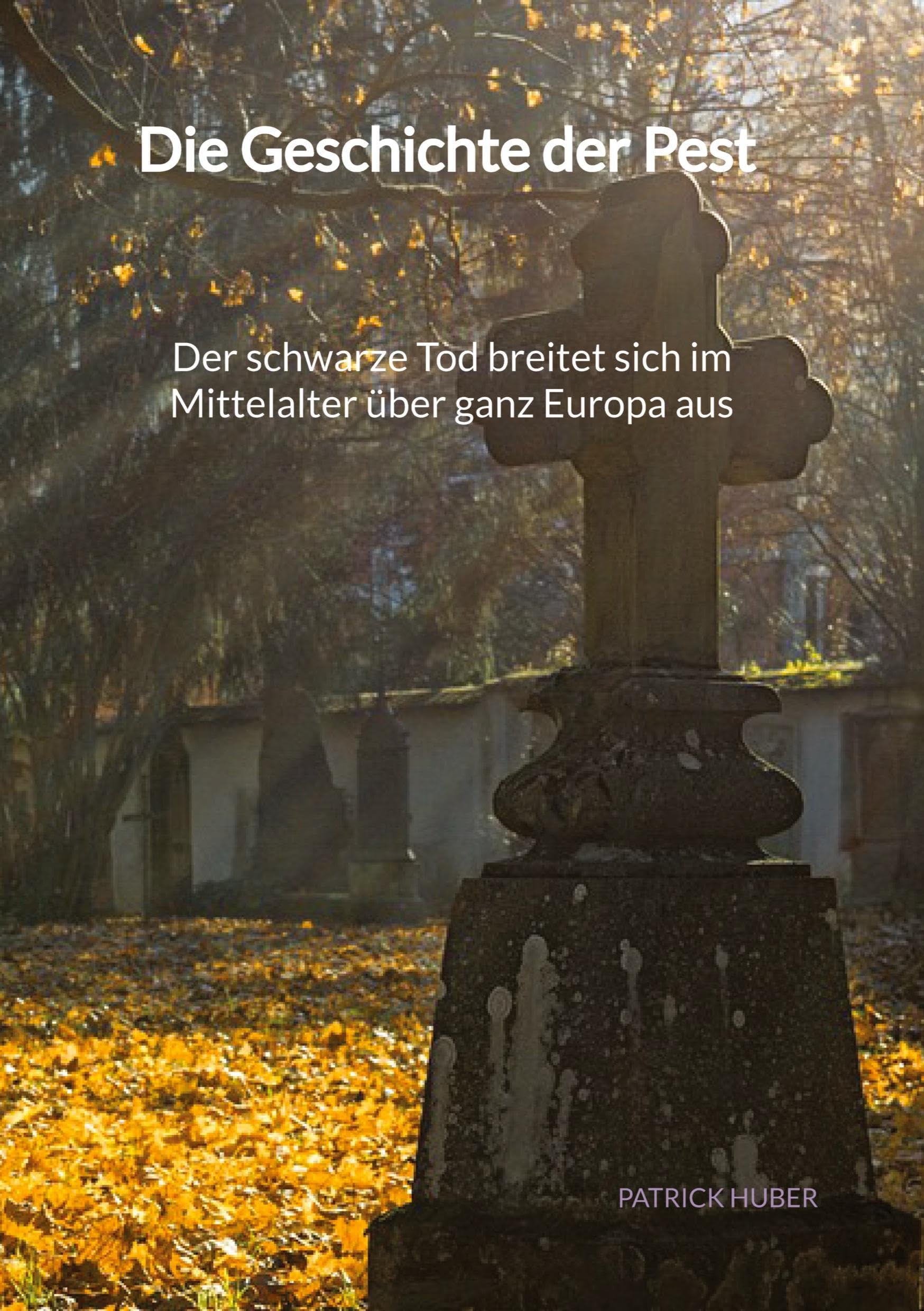 Die Geschichte der Pest - Der schwarze Tod breitet sich im Mittelalter über ganz Europa aus Politics & History