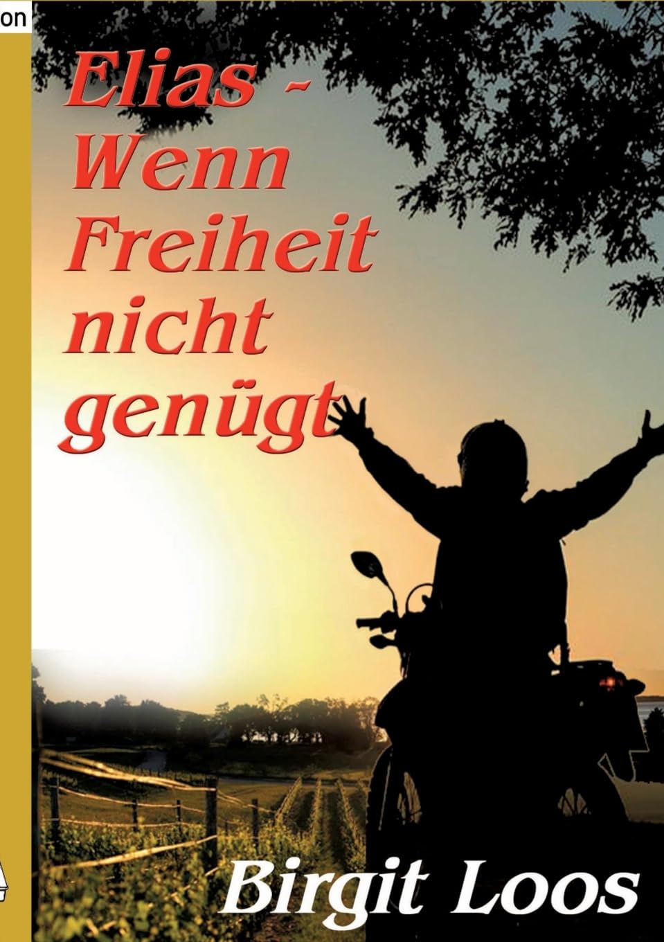 Elias - wenn Freiheit nicht genügt Contemporary literature