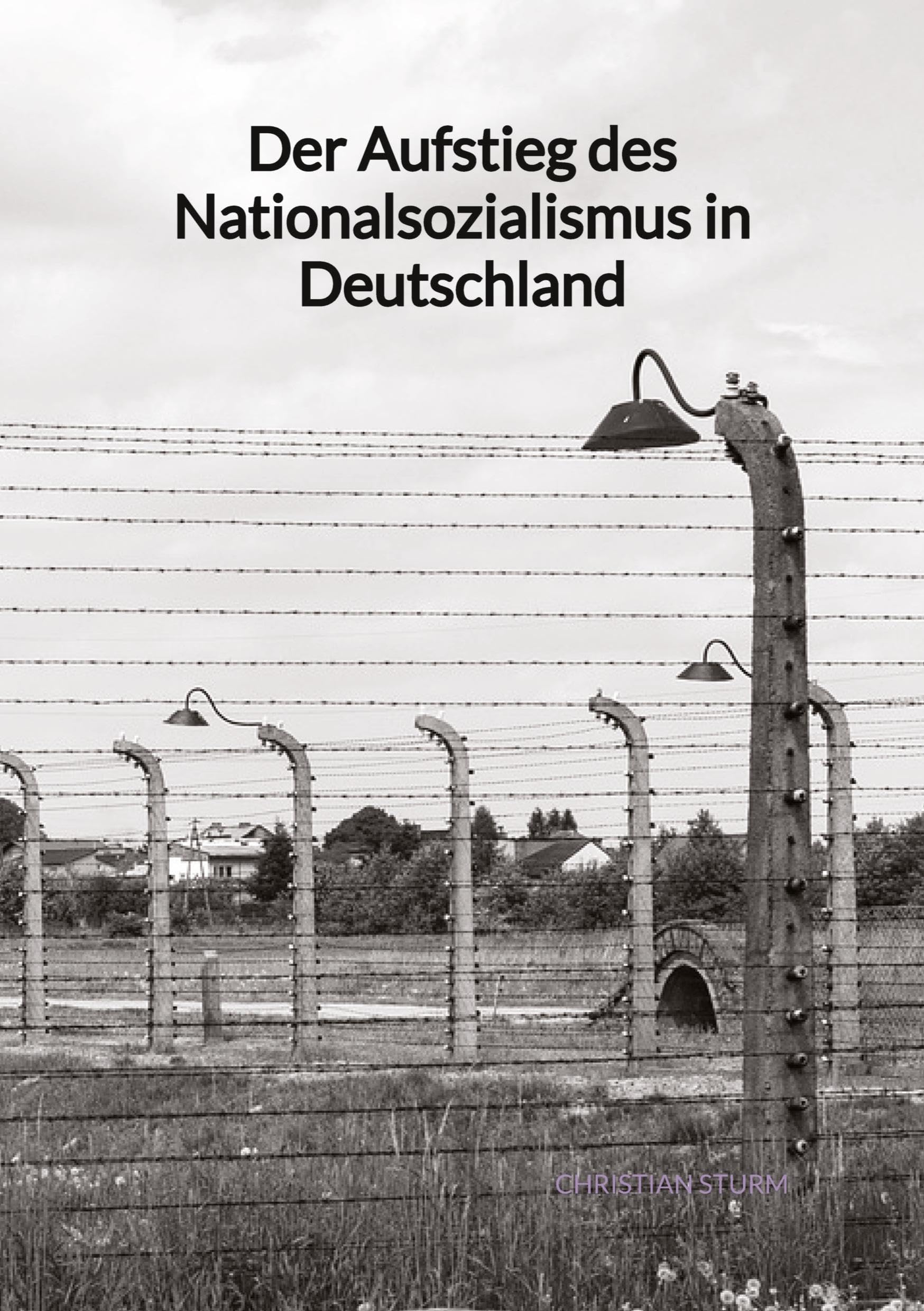 Der Aufstieg des Nationalsozialismus in Deutschland German history