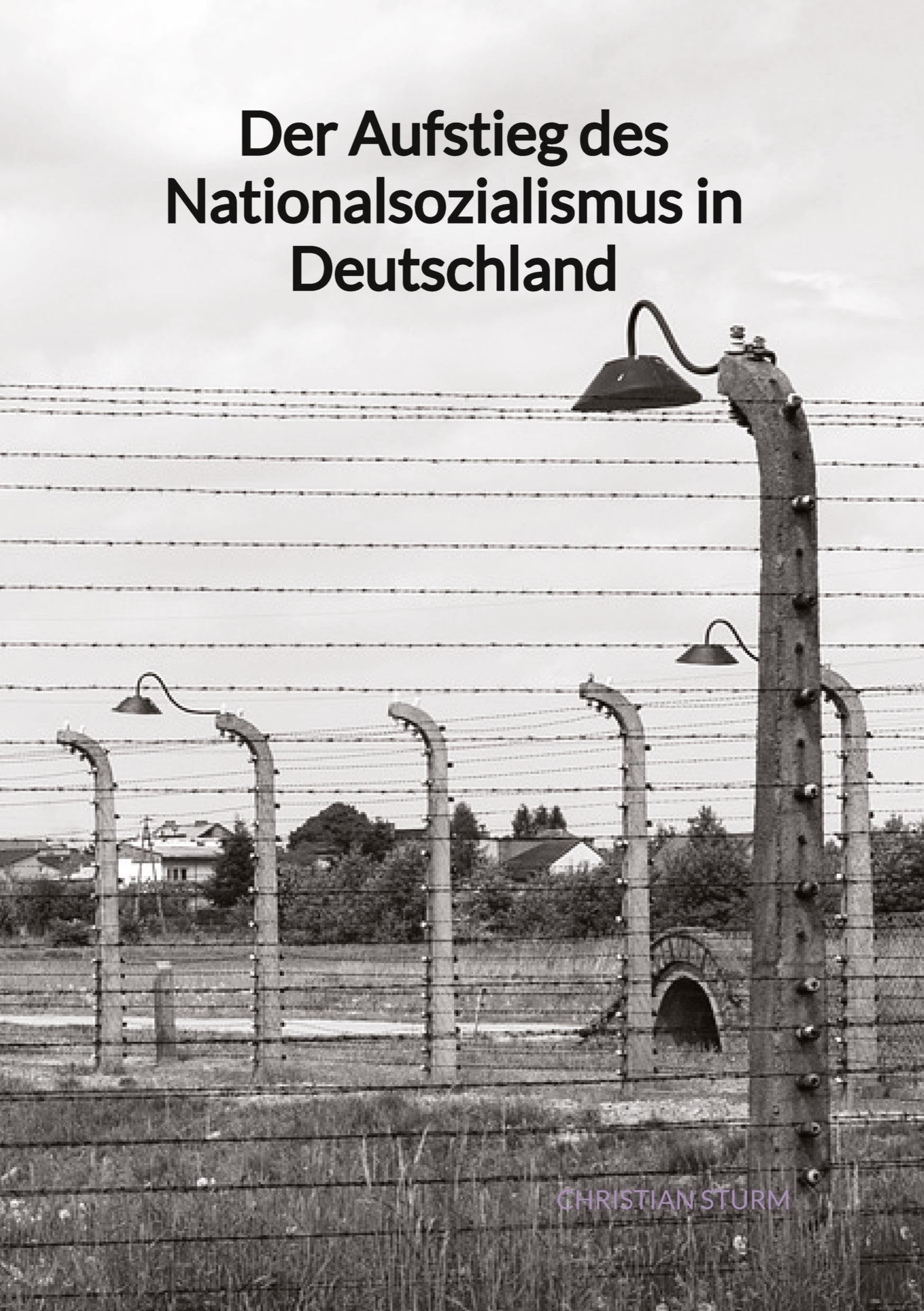 Der Aufstieg des Nationalsozialismus in Deutschland German history