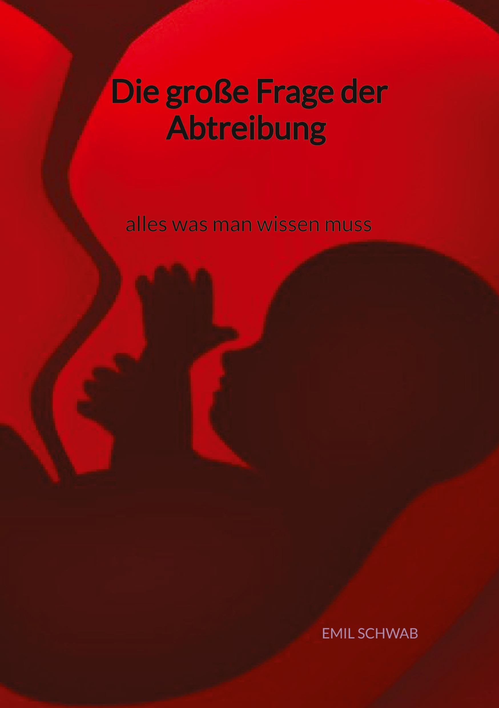 Die große Frage der Abtreibung - alles was man wissen muss Social Sciences