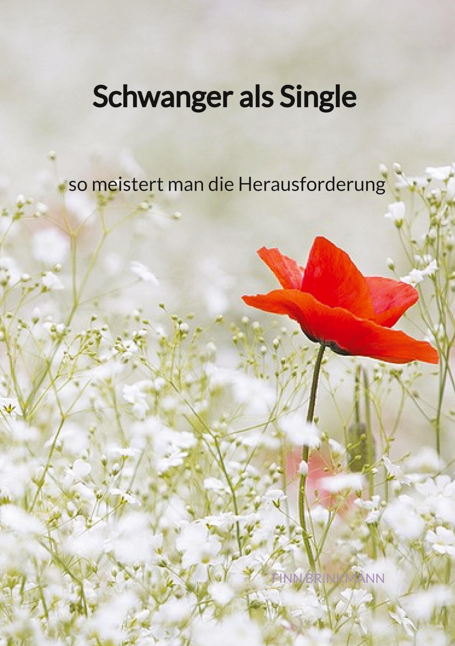 Schwanger als Single - so meistert man die Herausforderung Social Sciences