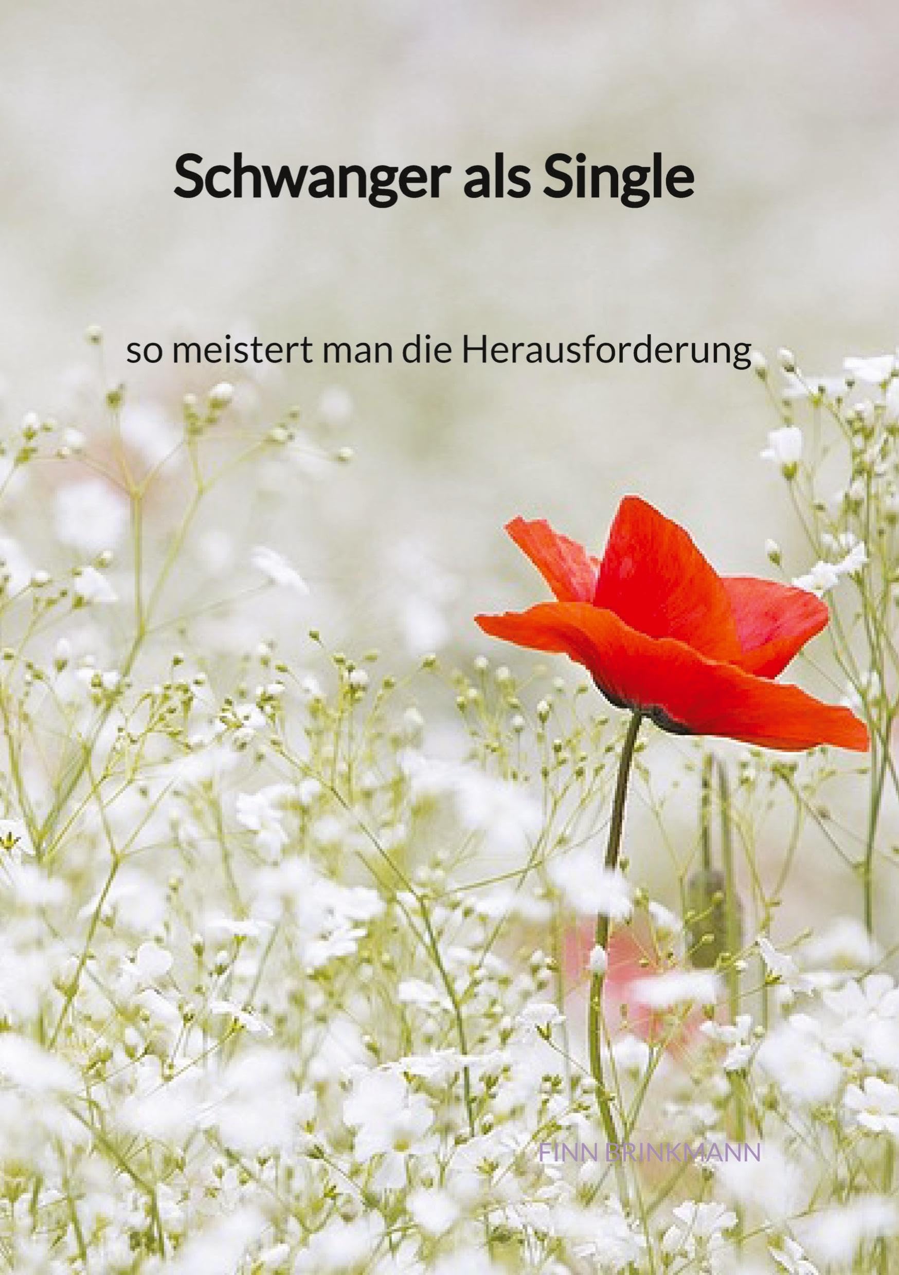 Schwanger als Single - so meistert man die Herausforderung Social Sciences