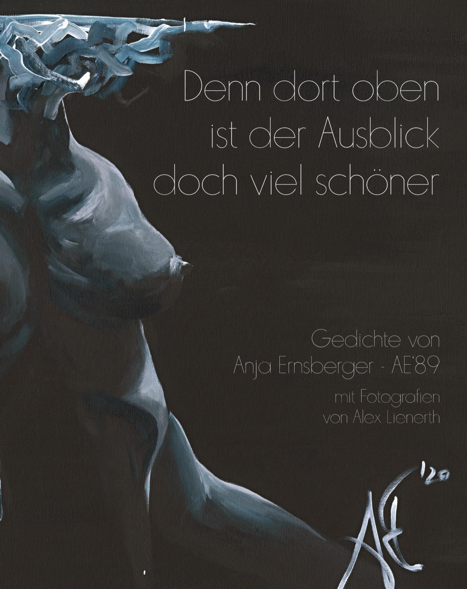 Denn dort oben ist der Ausblick doch viel schöner: Gedichte und Gedanken von Anja Ernsberger - AE'89 mit Fotografien von Alex Lienerth Contemporary literature Books